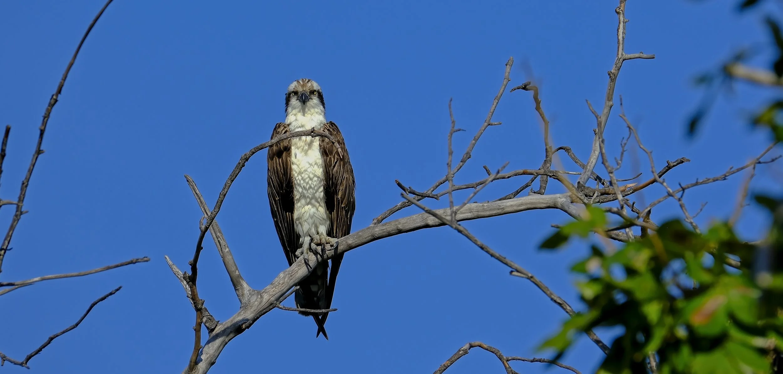 DSCF7271 1.jpg