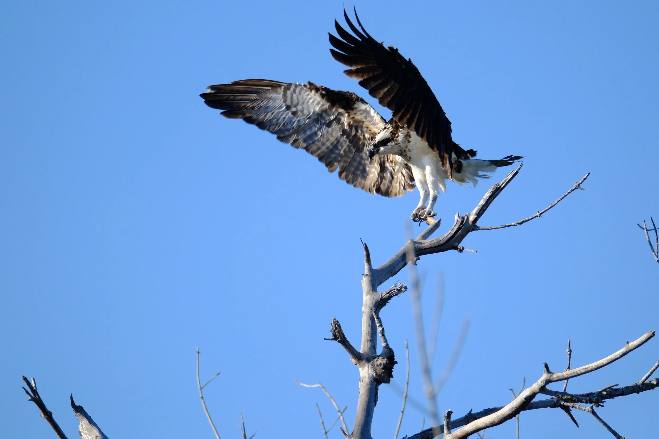 DSCF3106.JPG
