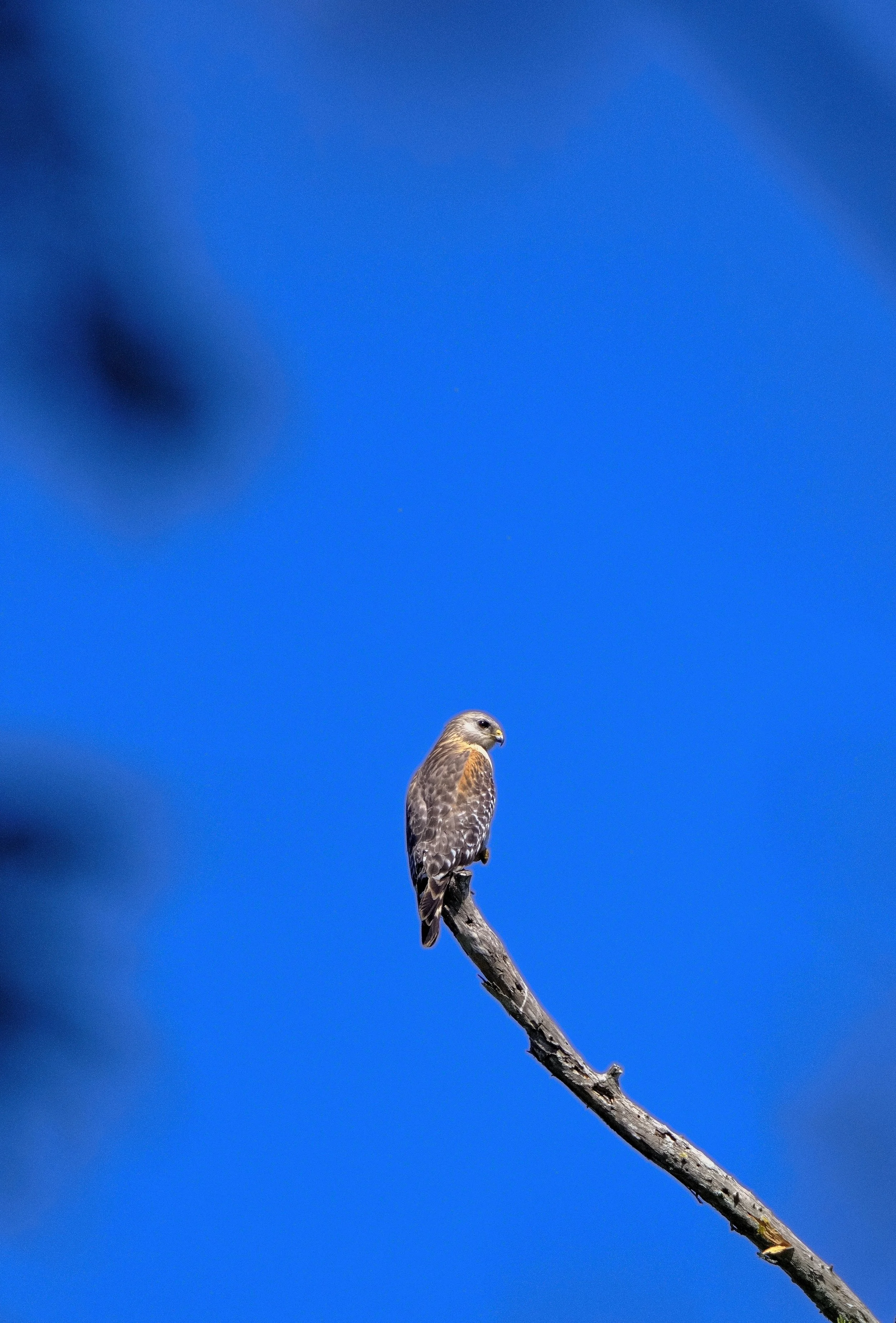 DSCF7045 1 1.jpg