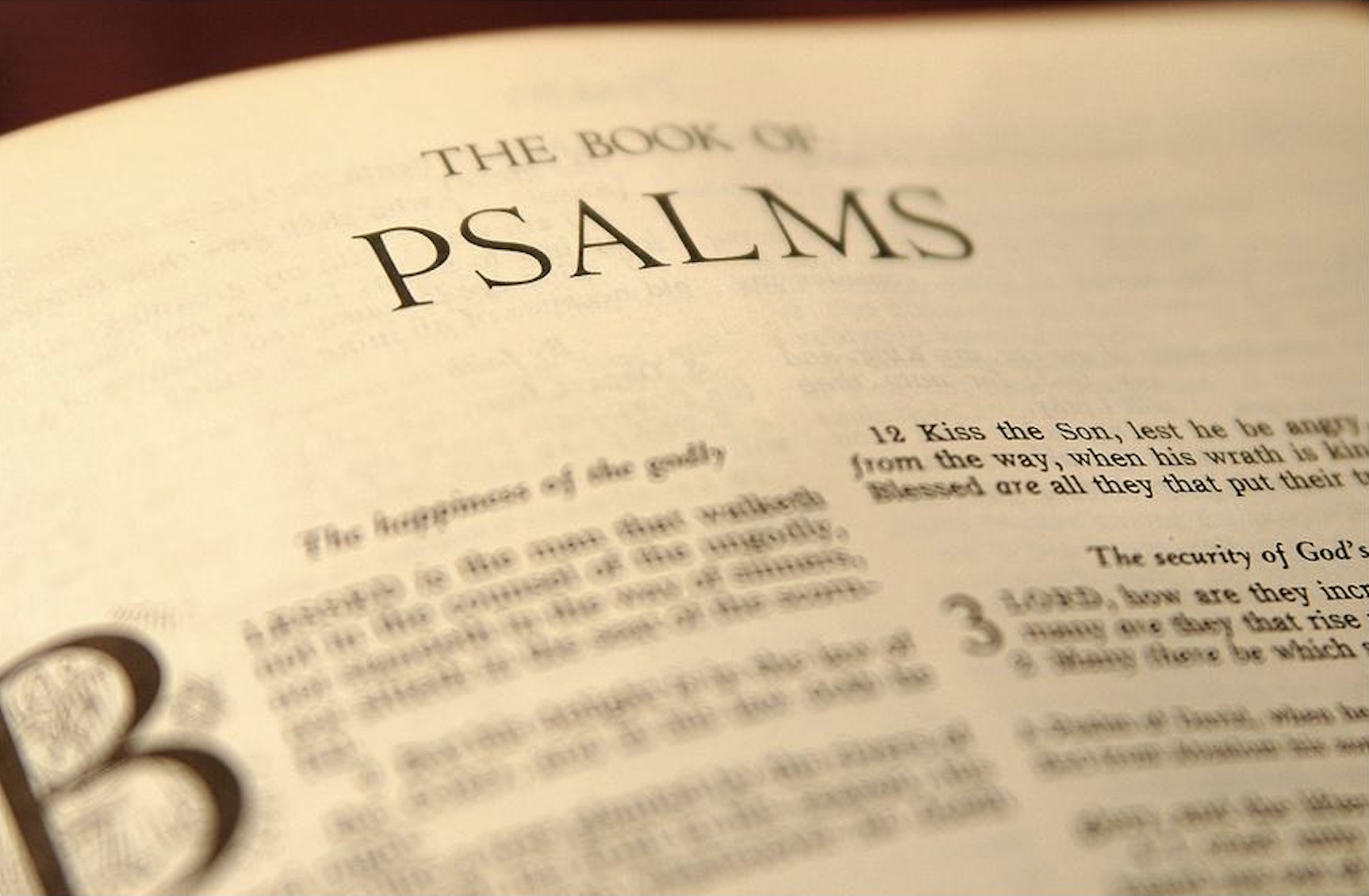 Study about the Book of Psalms