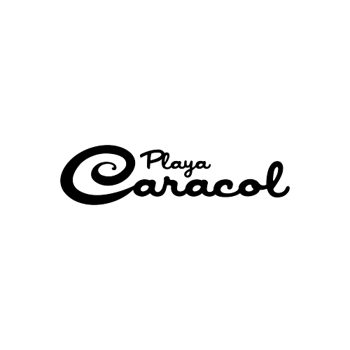 Playa Caracol real estate and tourismo logo, a branding and campaign, search and content client of Brandt agency in Panama City, Panama.