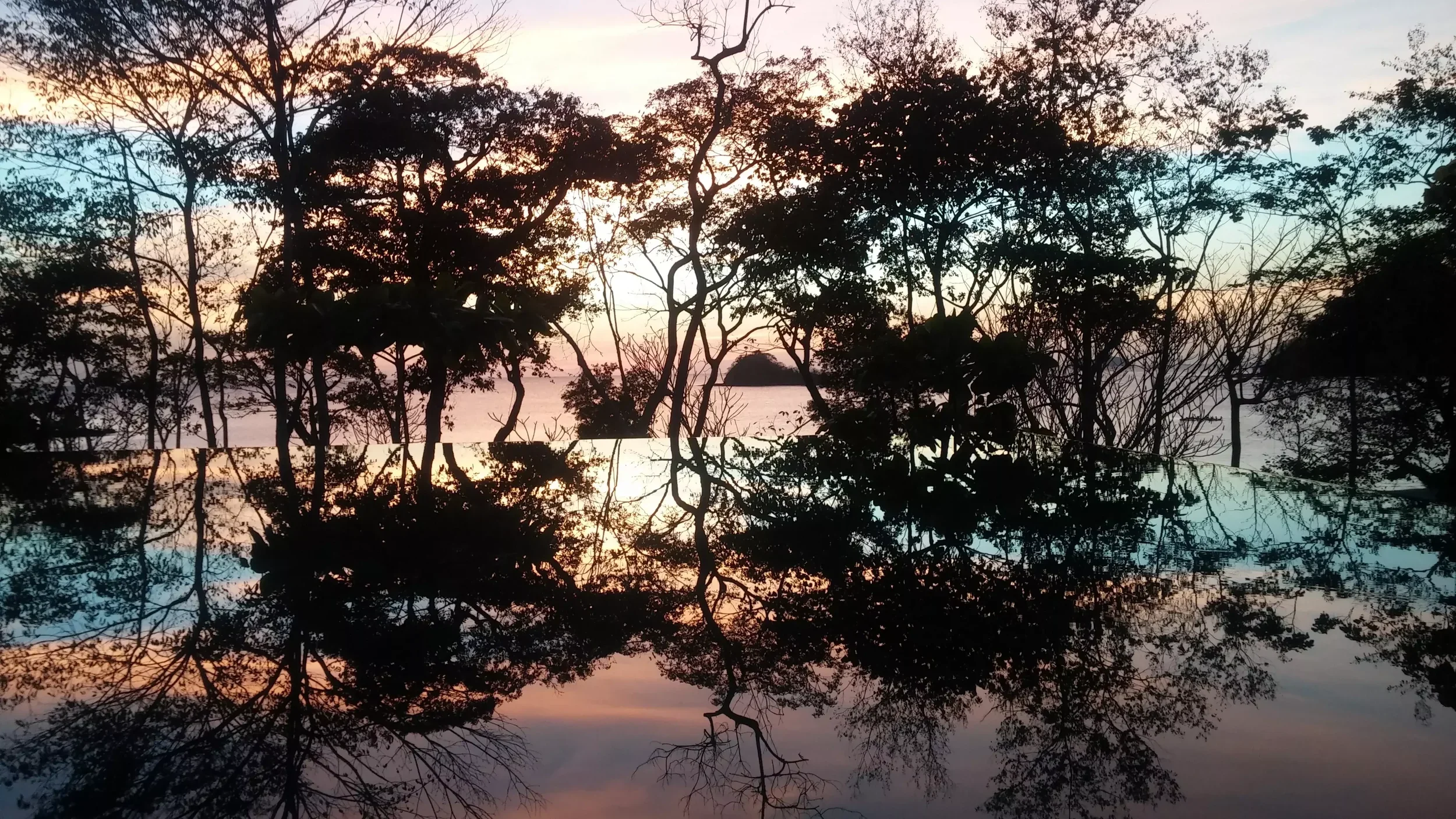 Sunset sky and lush trees reflected in an infinity pool showcasing organic architecture photography by Brandt, a branding and content agency in Panama.