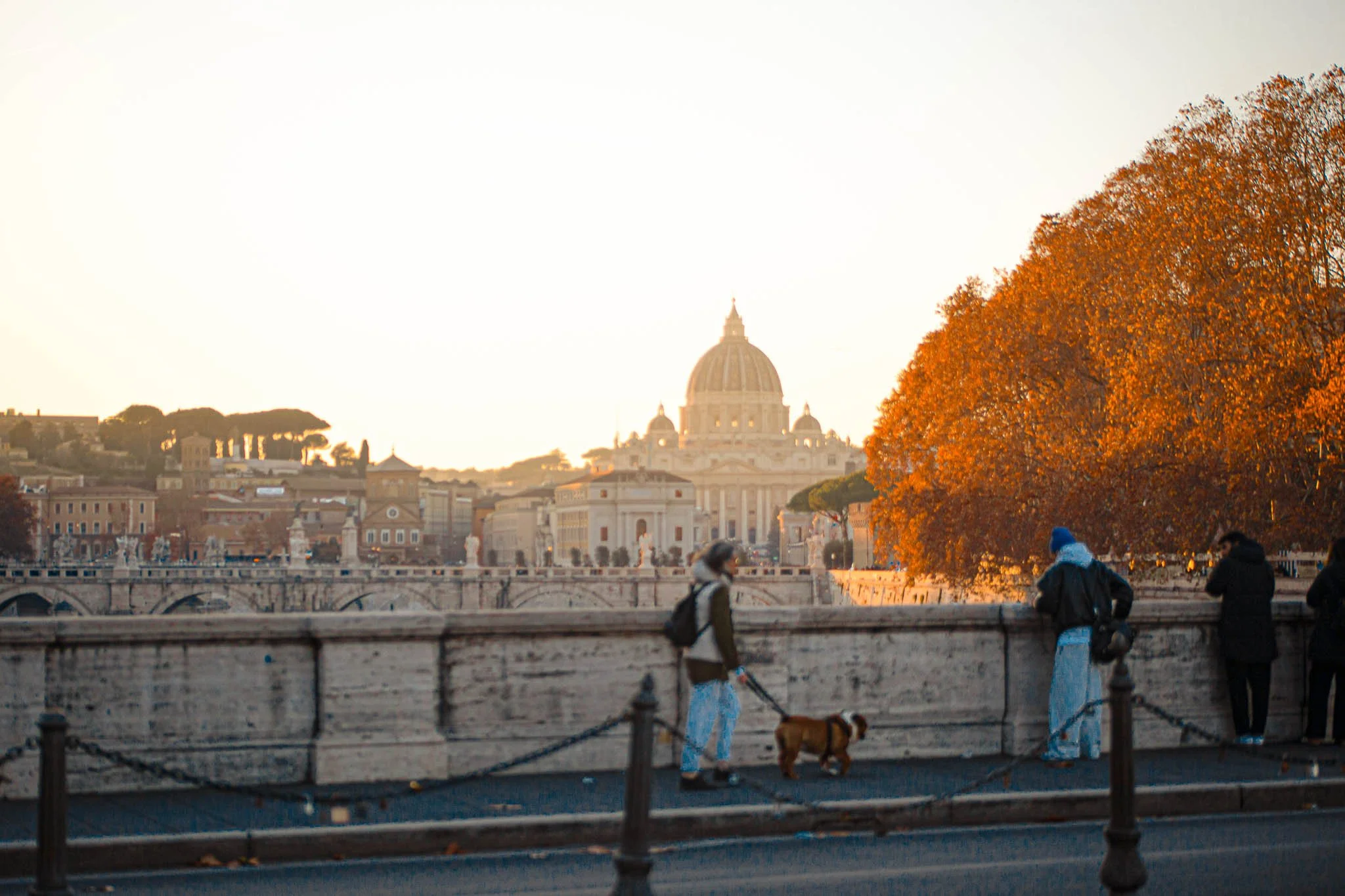 People walking along a bridge with a large tree with orange leaves and a domed building in the background during sunset.