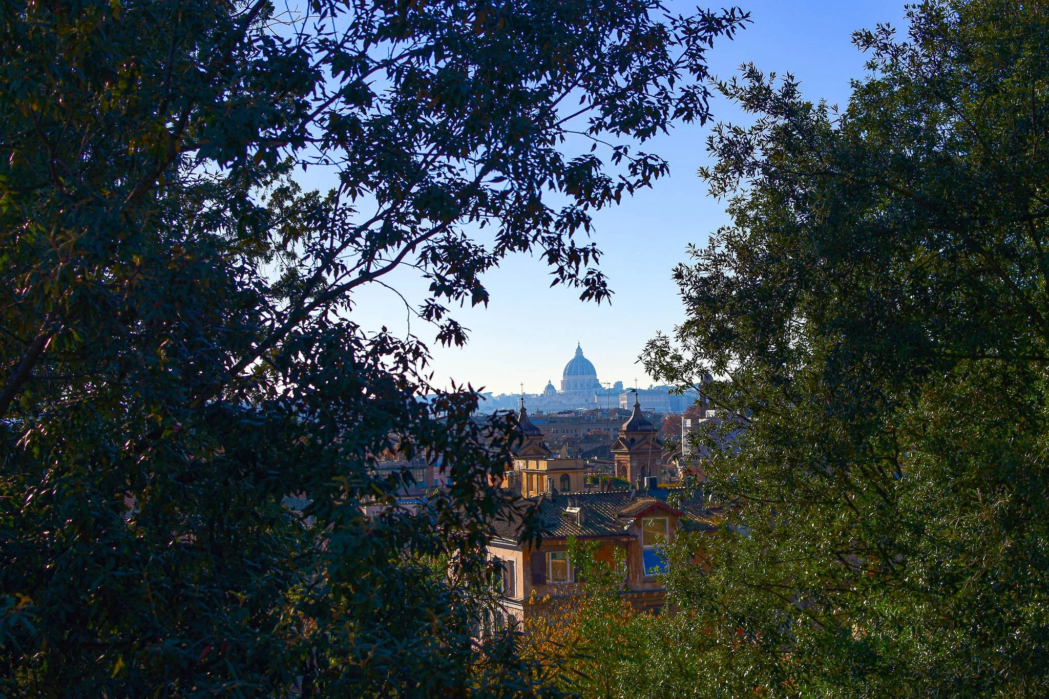 View of a cityscape with a prominent dome-shaped building in the distance, framed by tree branches and foliage in the foreground, under a clear blue sky.