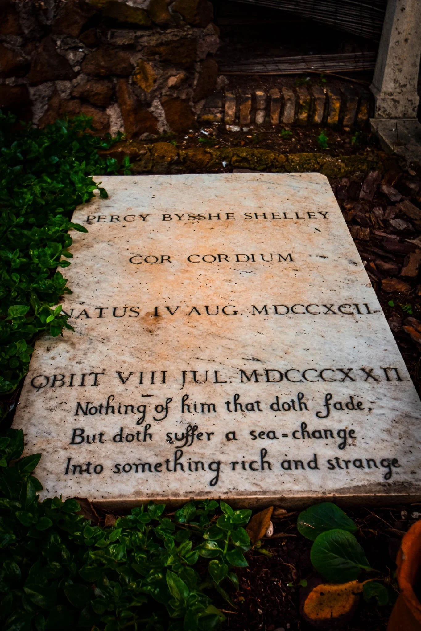 A white gravestone with inscriptions honoring Percy Bysshe Shelley, GOR CORDIUM, and the date of his death, August 8, 1822, surrounded by green plants and some brown leaves, with part of a brick and concrete structure visible in the background.