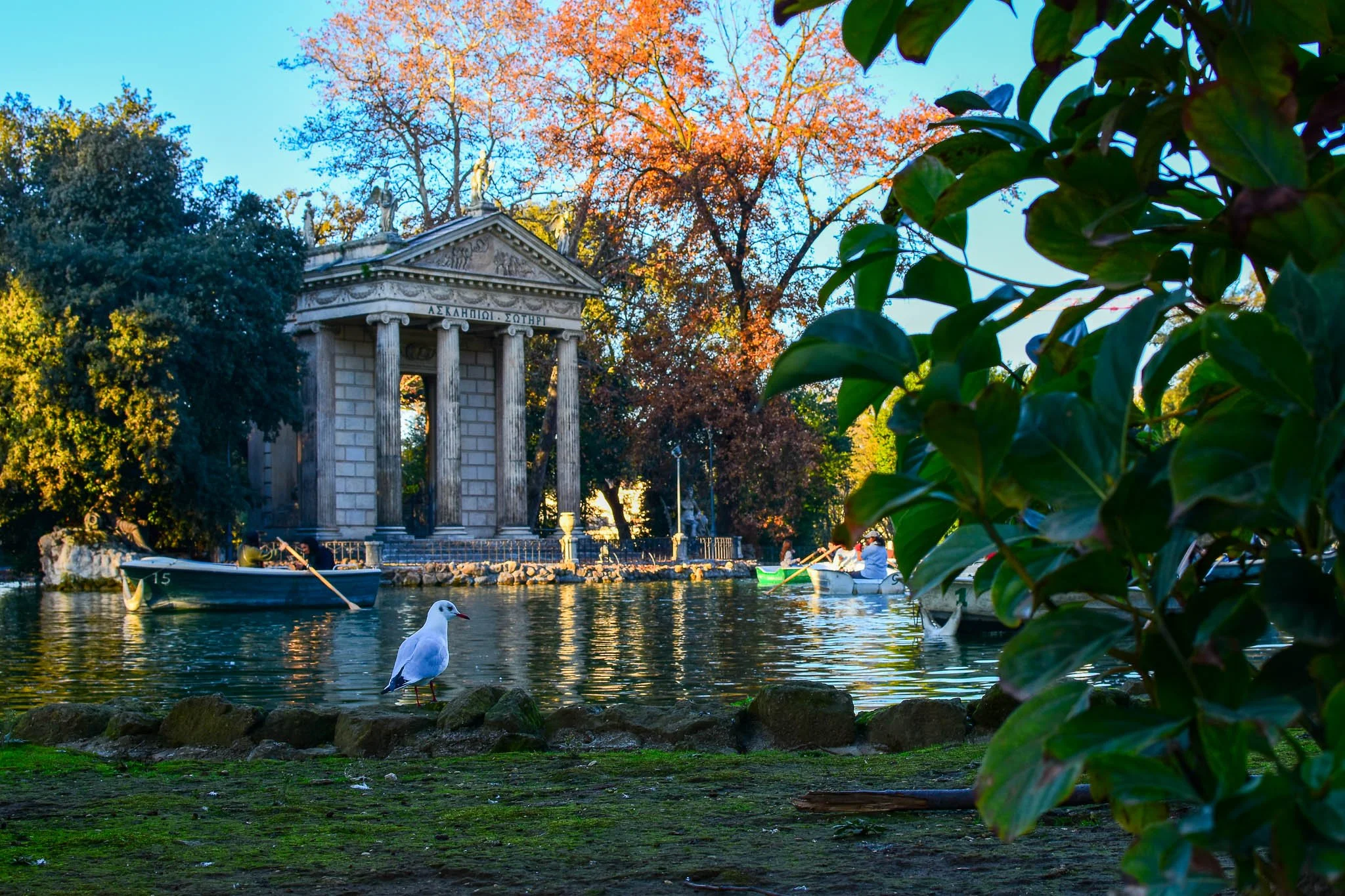 A scenic view of a river with a classical temple structure featuring four columns, surrounded by trees with autumn foliage. Several boats are on the water, and a seagull stands on rocks near the riverbank in the foreground.