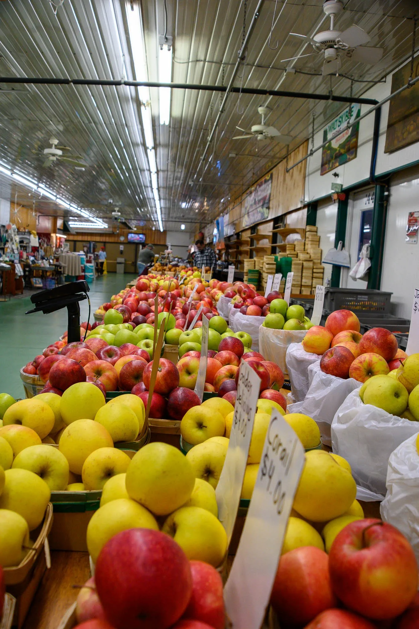 Assorted apples in baskets on display inside a grocery store or market.