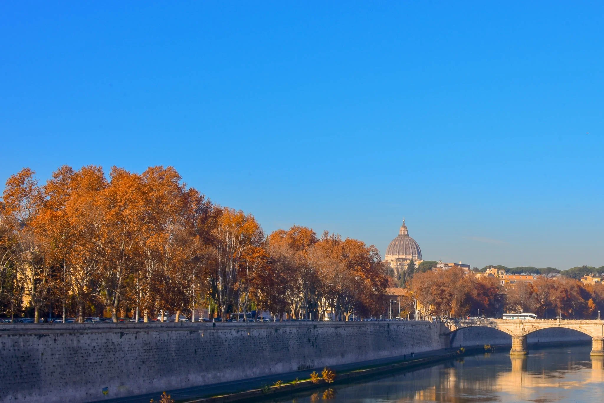 View of the Tiber River in Rome, Italy, with autumn-colored trees along the riverbank and St. Peter's Basilica in the distance under a clear blue sky.
