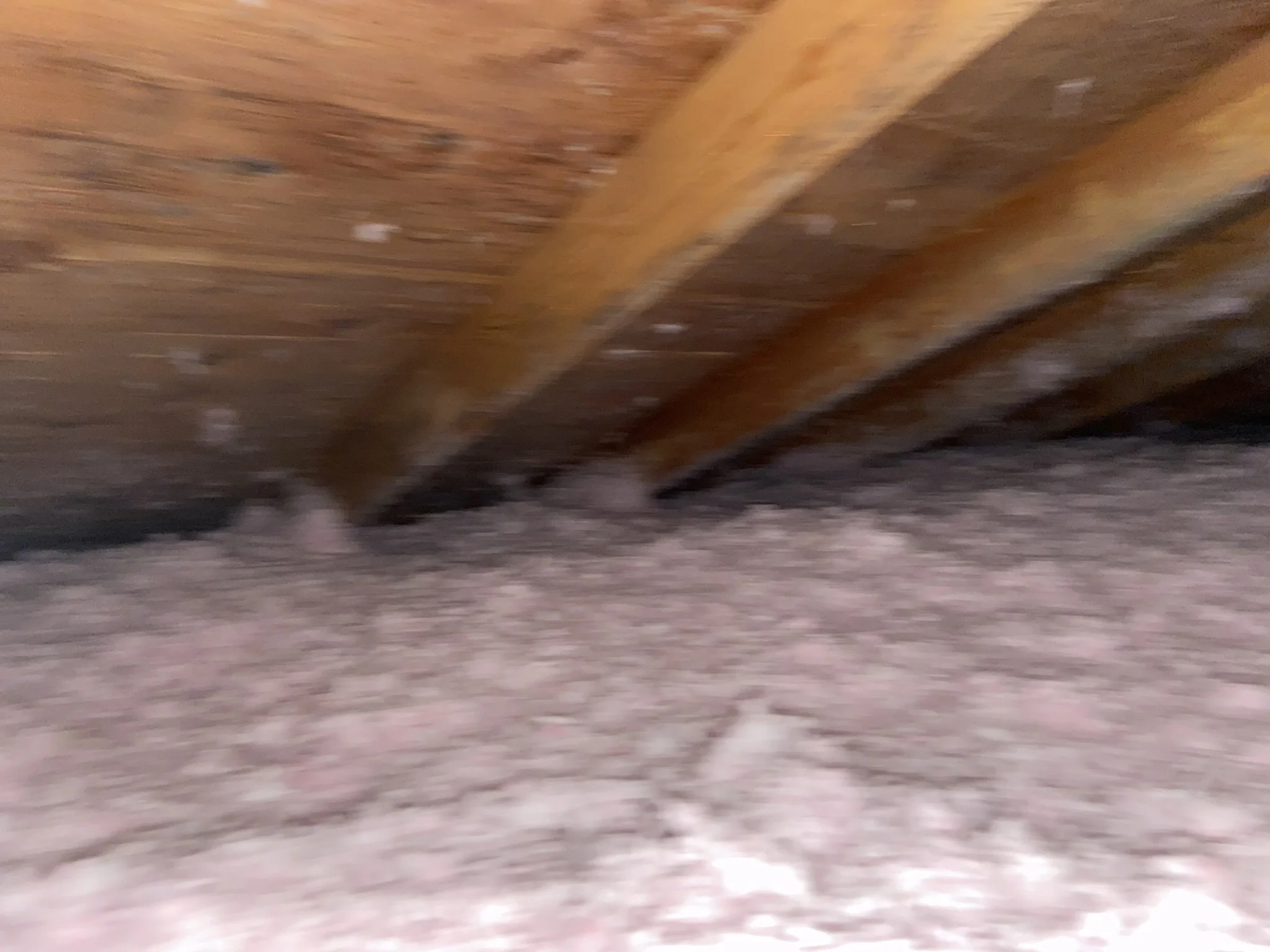 insulation 2.JPEG