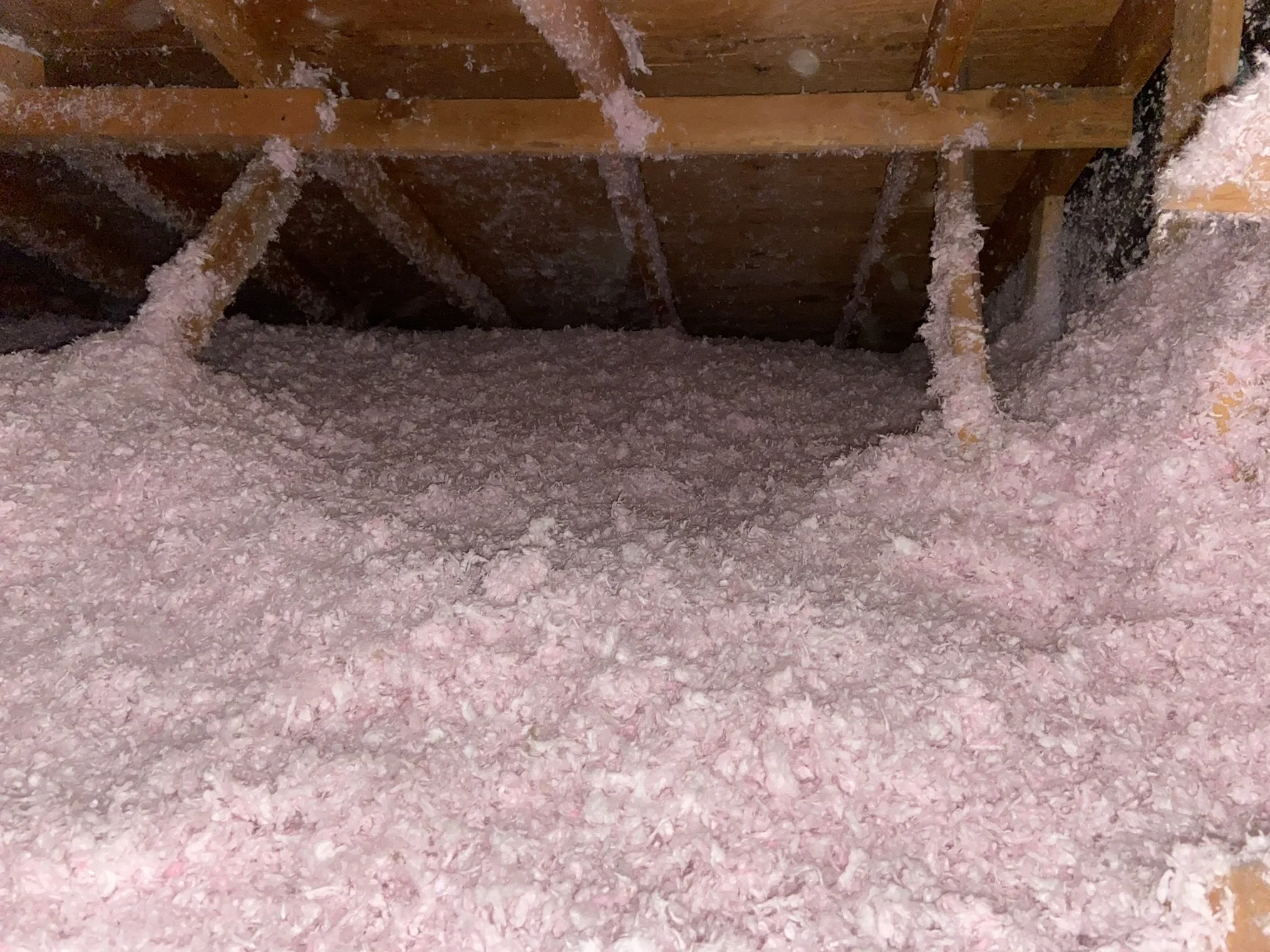 insulation 4.JPEG