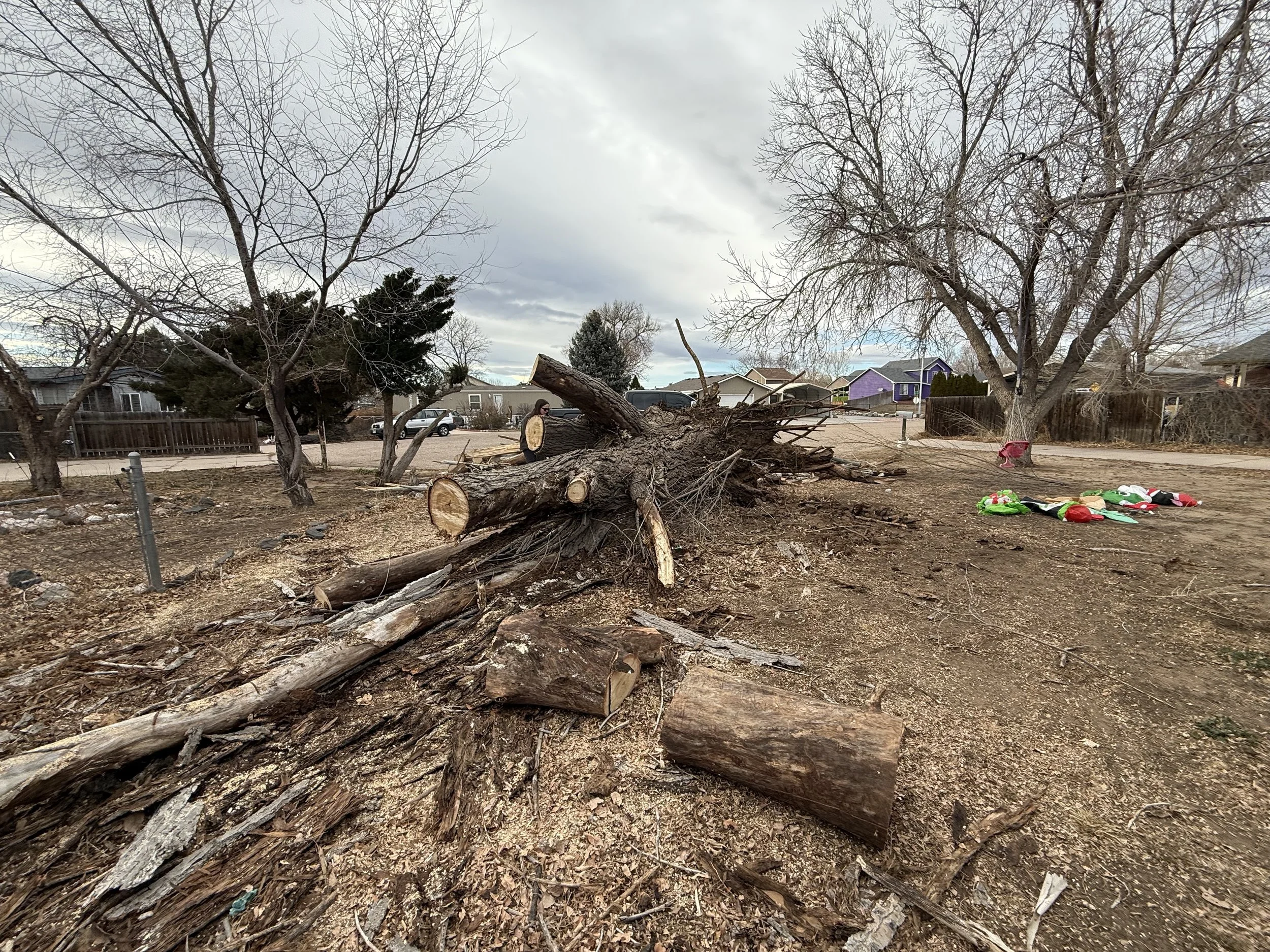 in progress removal (1).jpeg