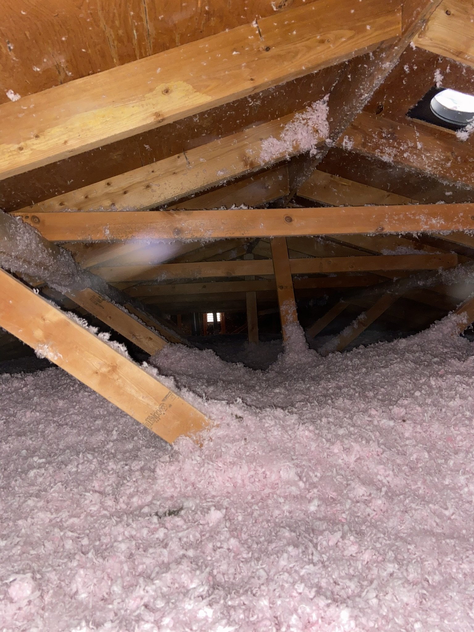 insulation 1.JPEG