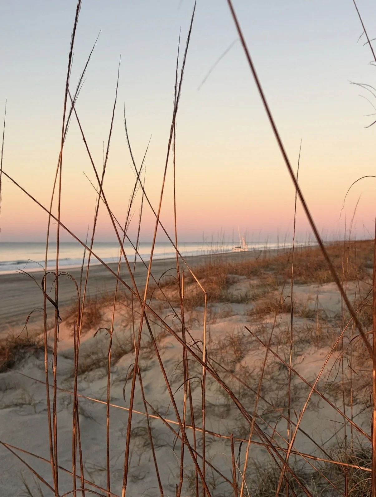 Sunset light on sea oats and sand dunes at the beach in Emerald Isle, NC