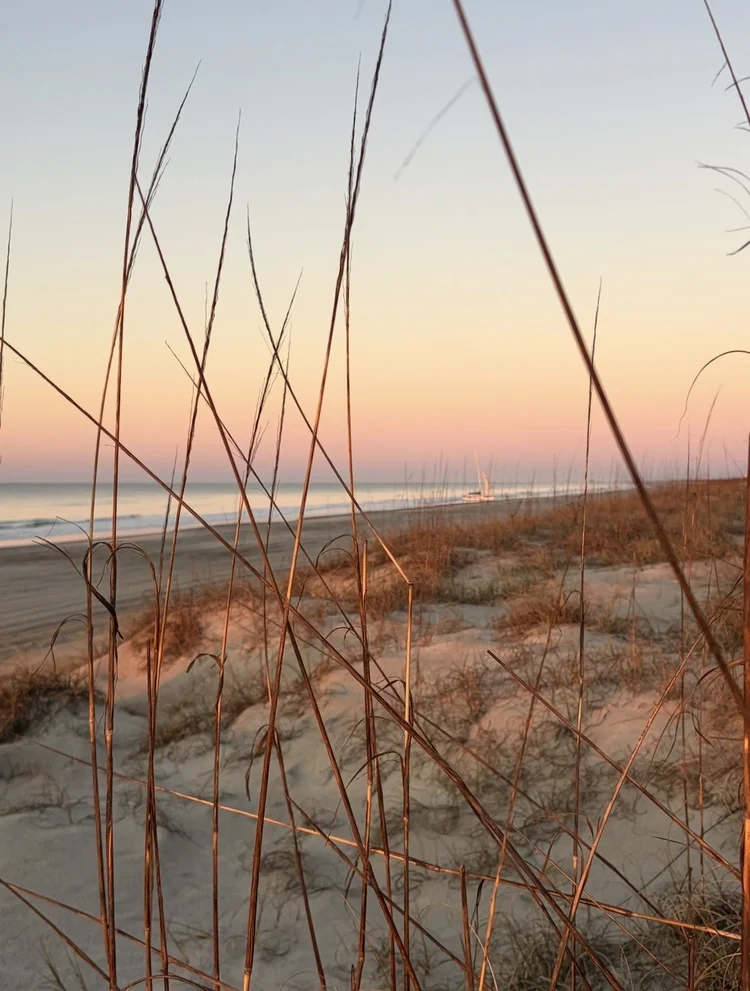 Sunset light on sea oats and sand dunes at the beach in Emerald Isle, NC