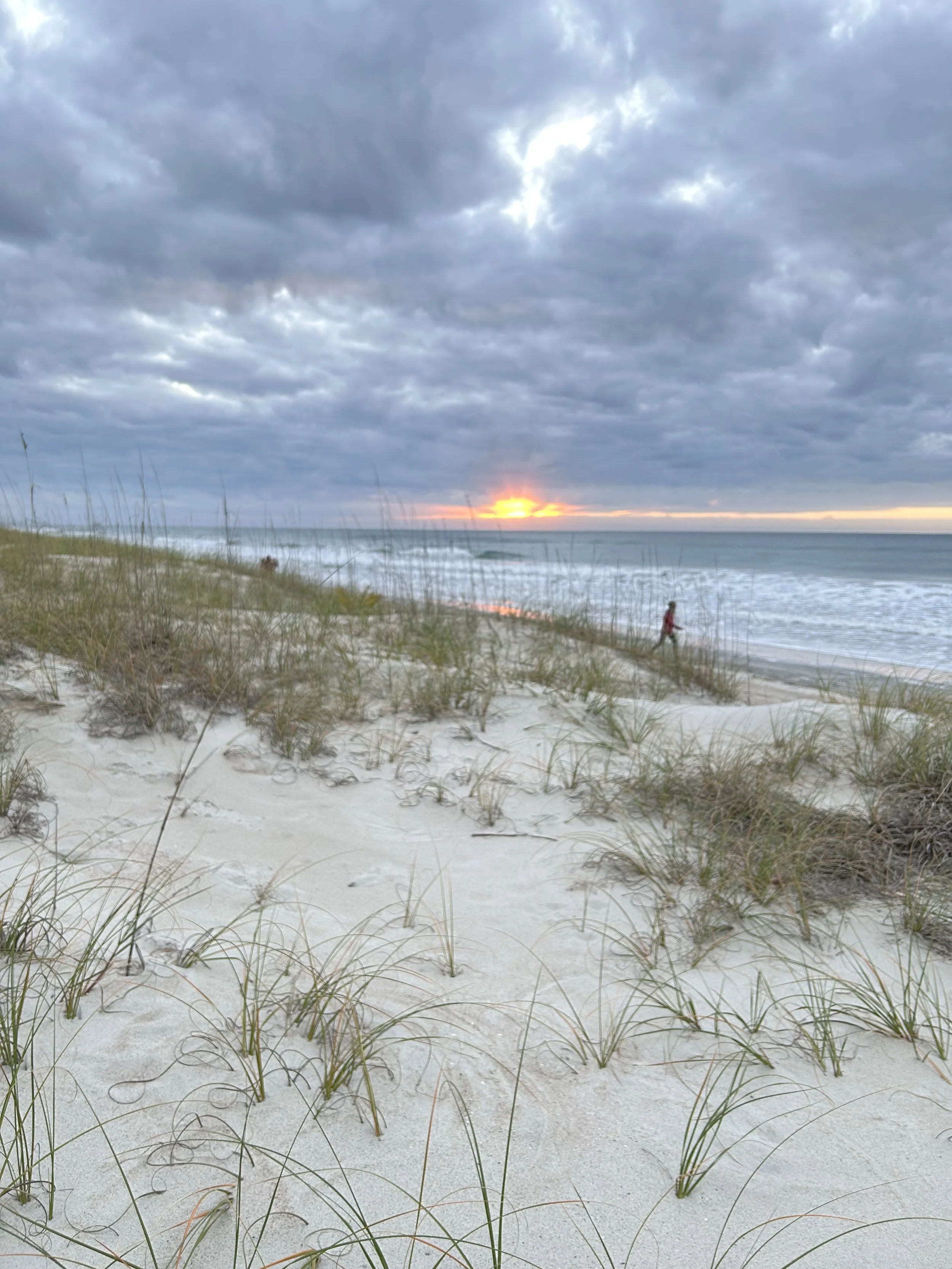 Sunrise over the Atlantic Ocean and sandy dunes with sea oats on the beach in Emerald Isle, NC