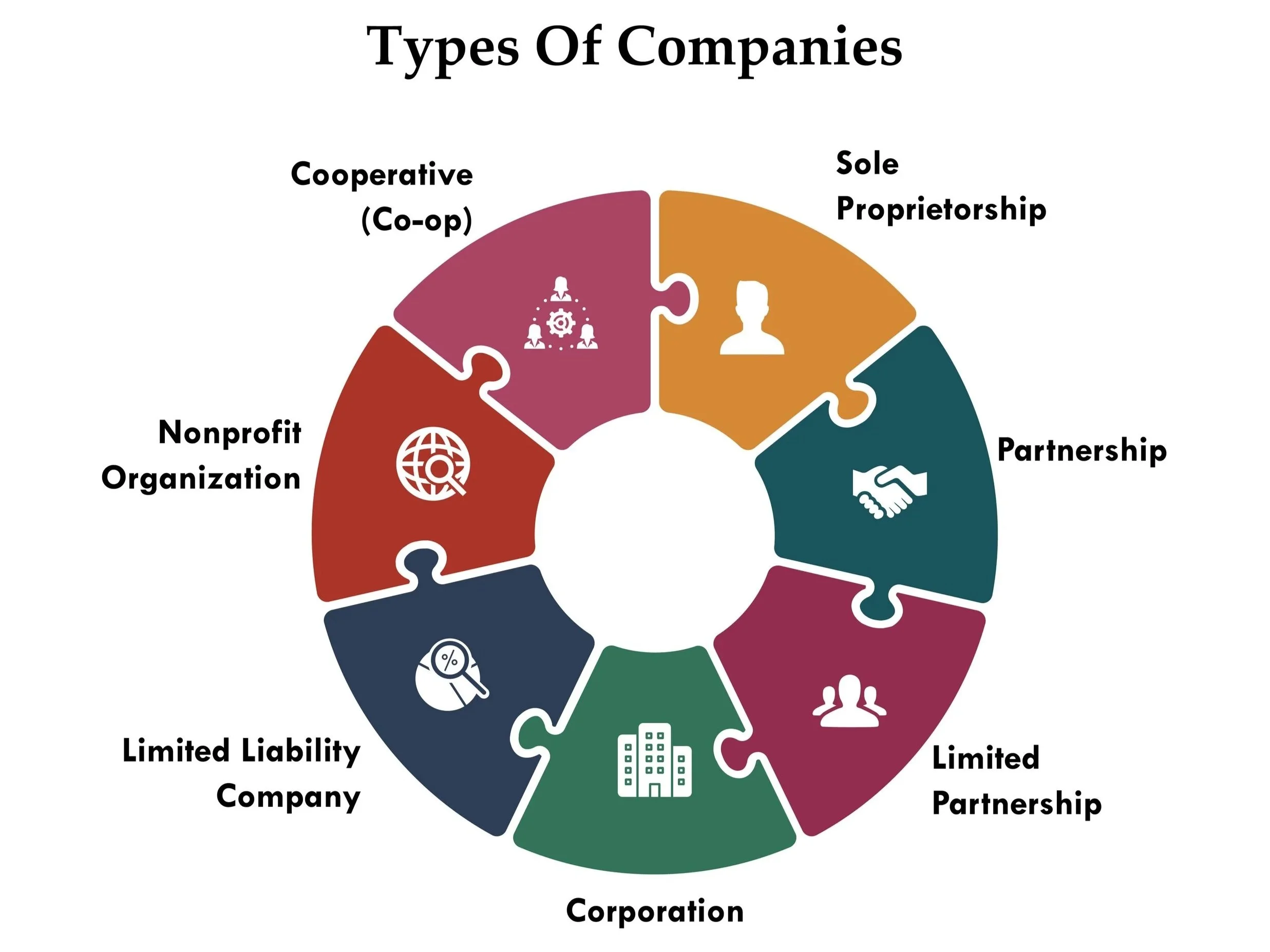 A circular infographic titled 'Types of Companies' showing different company types as puzzle pieces, including Sole Proprietorship, Partnership, Limited Partnership, Corporation, Limited Liability Company, Nonprofit Organization, Cooperative (Co-op).