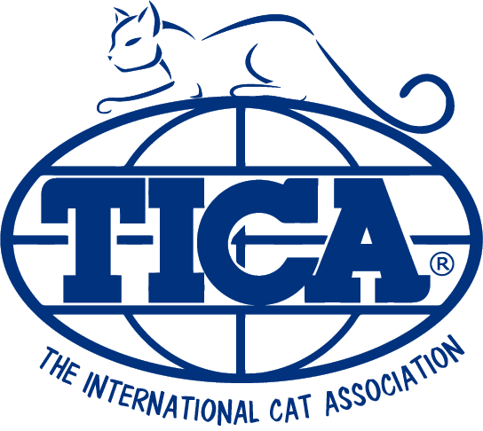 The logo of The International Cat Association featuring a stylized cat sitting above the TICA acronym, which is enclosed in an oval shape.