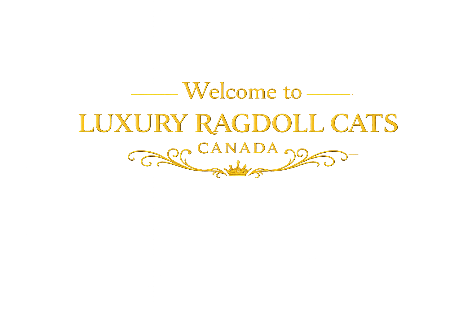 Decorative sign reading "Welcome to Luxury Rag Doll Cats Canada" in gold text on black background.