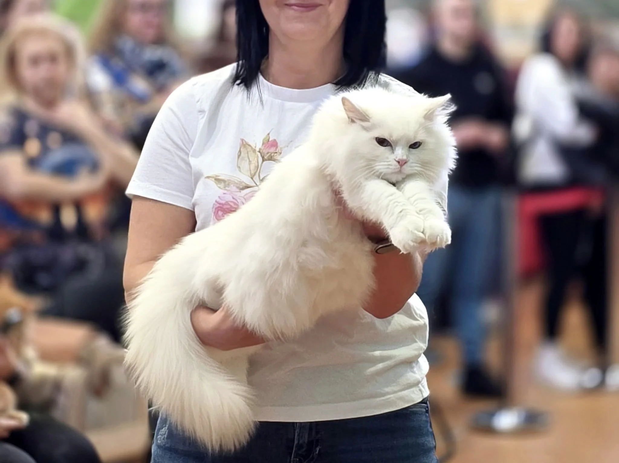 A woman holding a fluffy white cat in a crowded indoor setting, possibly a cat show or competition, with people seated in the background.