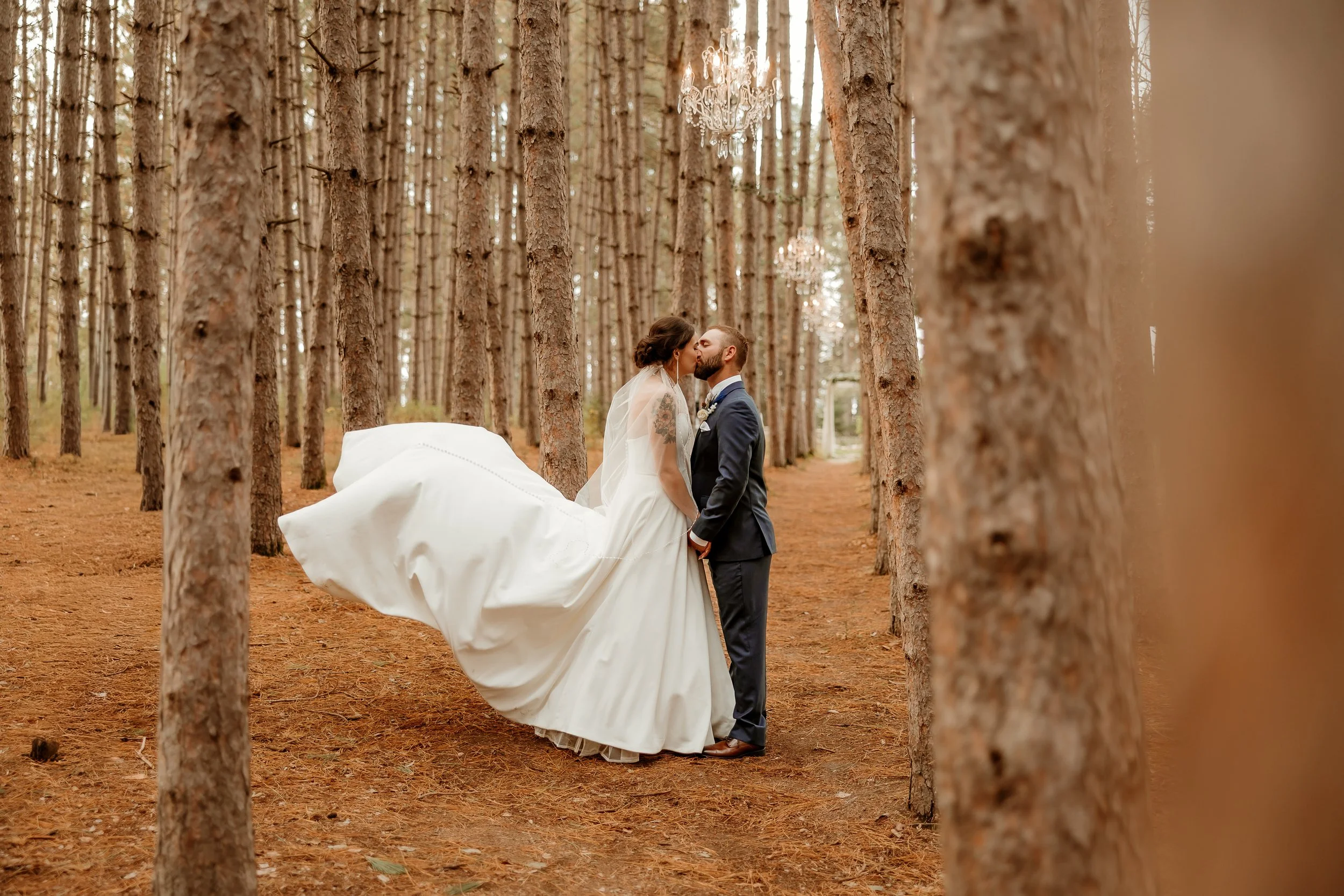Wedding couple kissing in a forest, the bride in a white dress with a flowing train, the groom in a dark suit, between tall pine trees, chandeliers hanging from the trees.