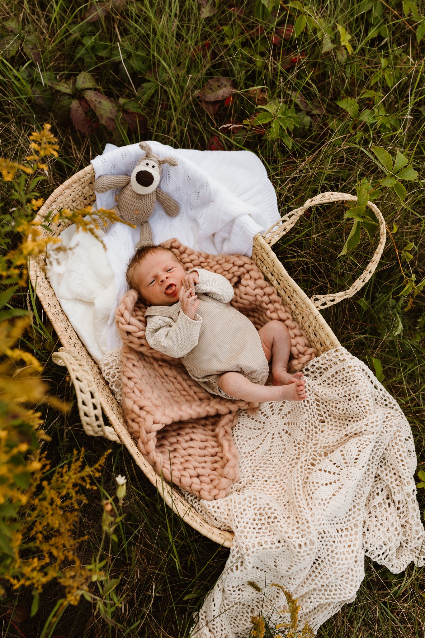 A baby lying in a woven basket outdoors, surrounded by grass and yellow wildflowers, with blankets and a stuffed toy.