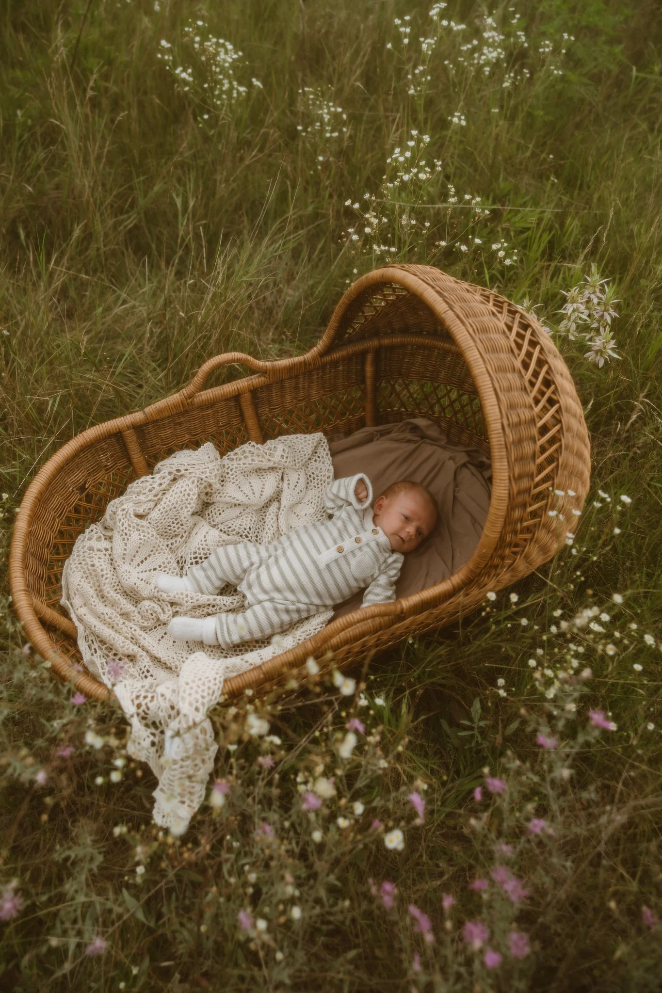 A baby lying in a woven basket outdoors, surrounded by tall grass and small white and pink flowers. North Branch Minnesota newborn