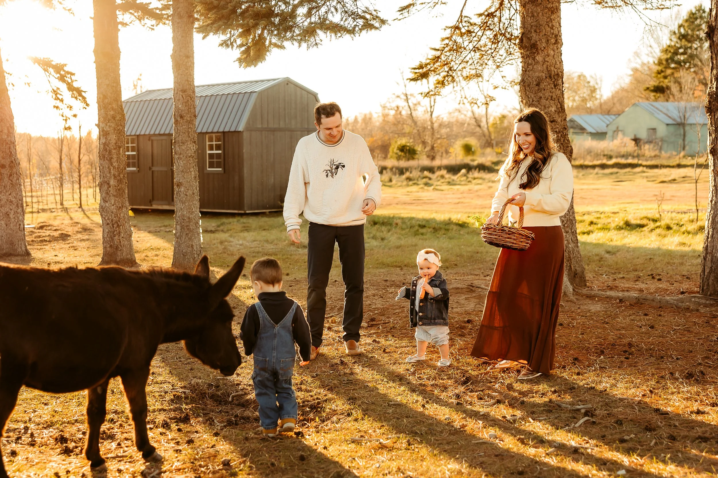 Family of four having fun outdoors in a sunny, wooded area, with two kids, a man, a woman, a donkey, and a barn in the background, during what appears to be daytime.