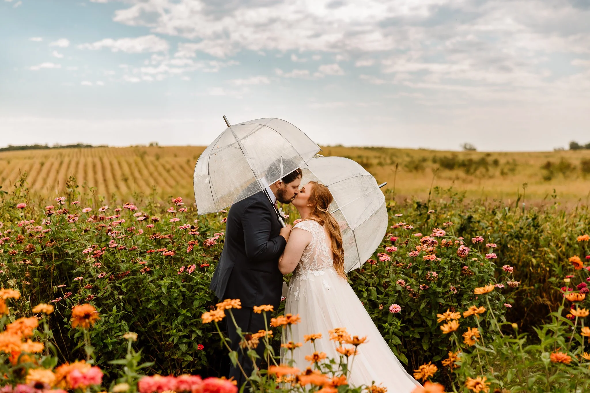 A bride and groom kissing under umbrellas in a colorful flower field during daytime. Cambridge Pine city Minnesota 