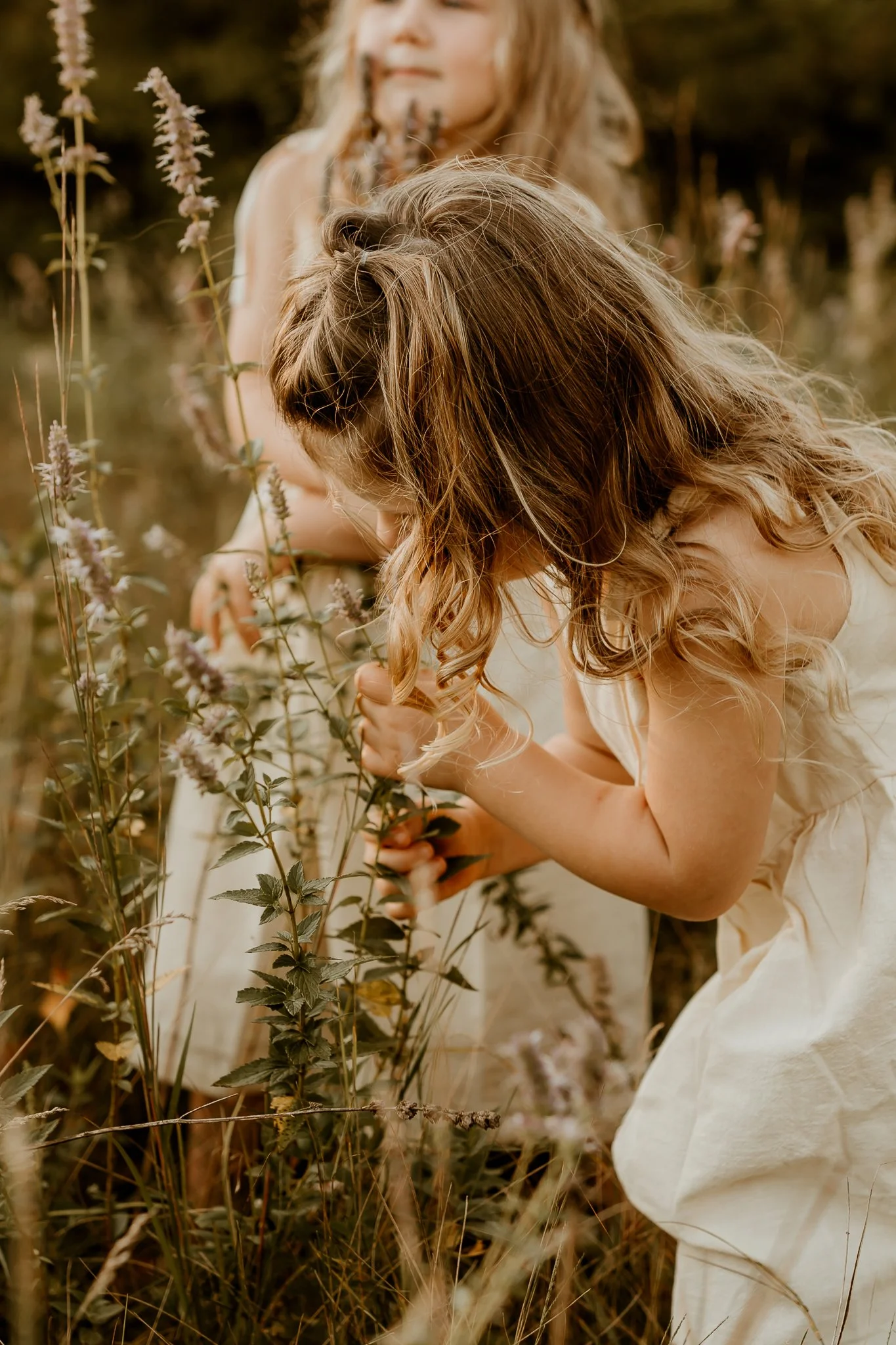 Two young girls with curly hair in cream-colored dresses examining plants in a natural outdoor setting with tall grasses and wildflowers.