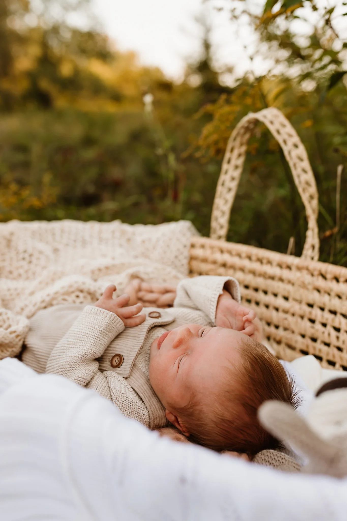 A baby lying in a wicker basket outdoors with greenery and autumn trees in the background, wearing a beige cardigan.