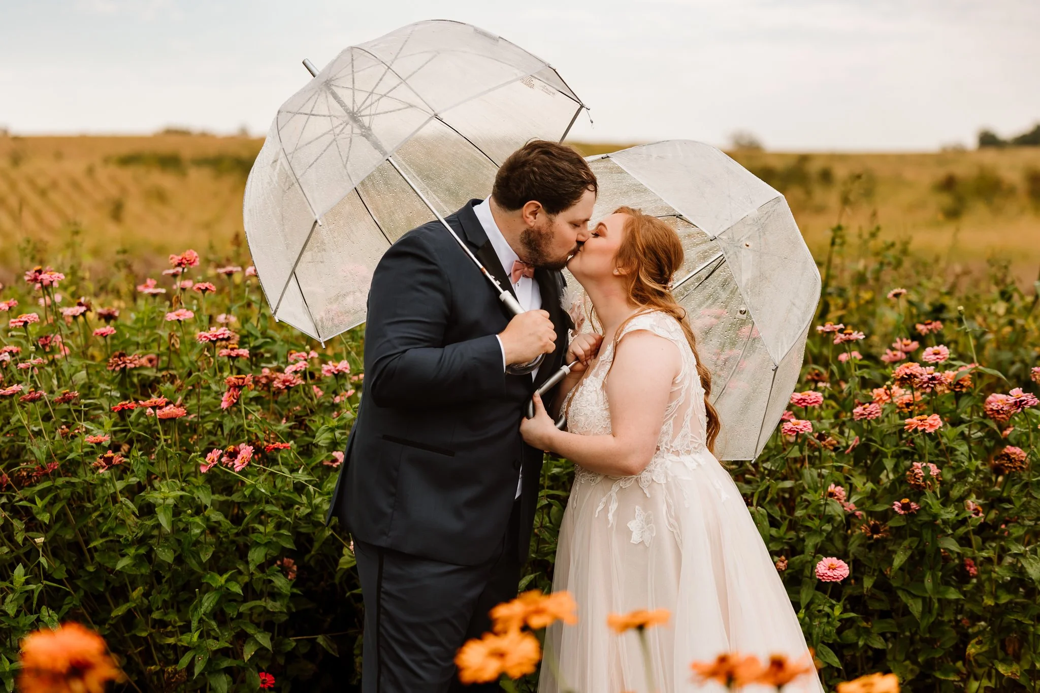 A newlywed couple sharing a kiss under clear umbrellas in a flower field on an overcast day.Cambridge Pine city Minnesota 