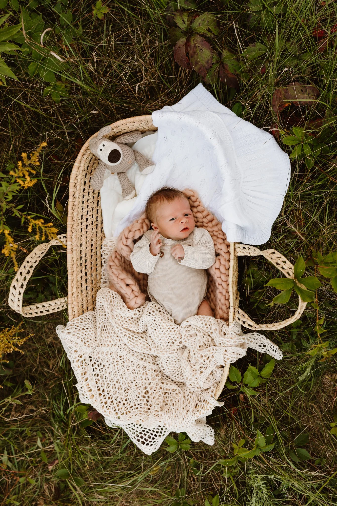A baby lying in a woven basket outdoors on grass, surrounded by plants, with a white blanket and a pink knitted blanket, accompanied by a stuffed animal.