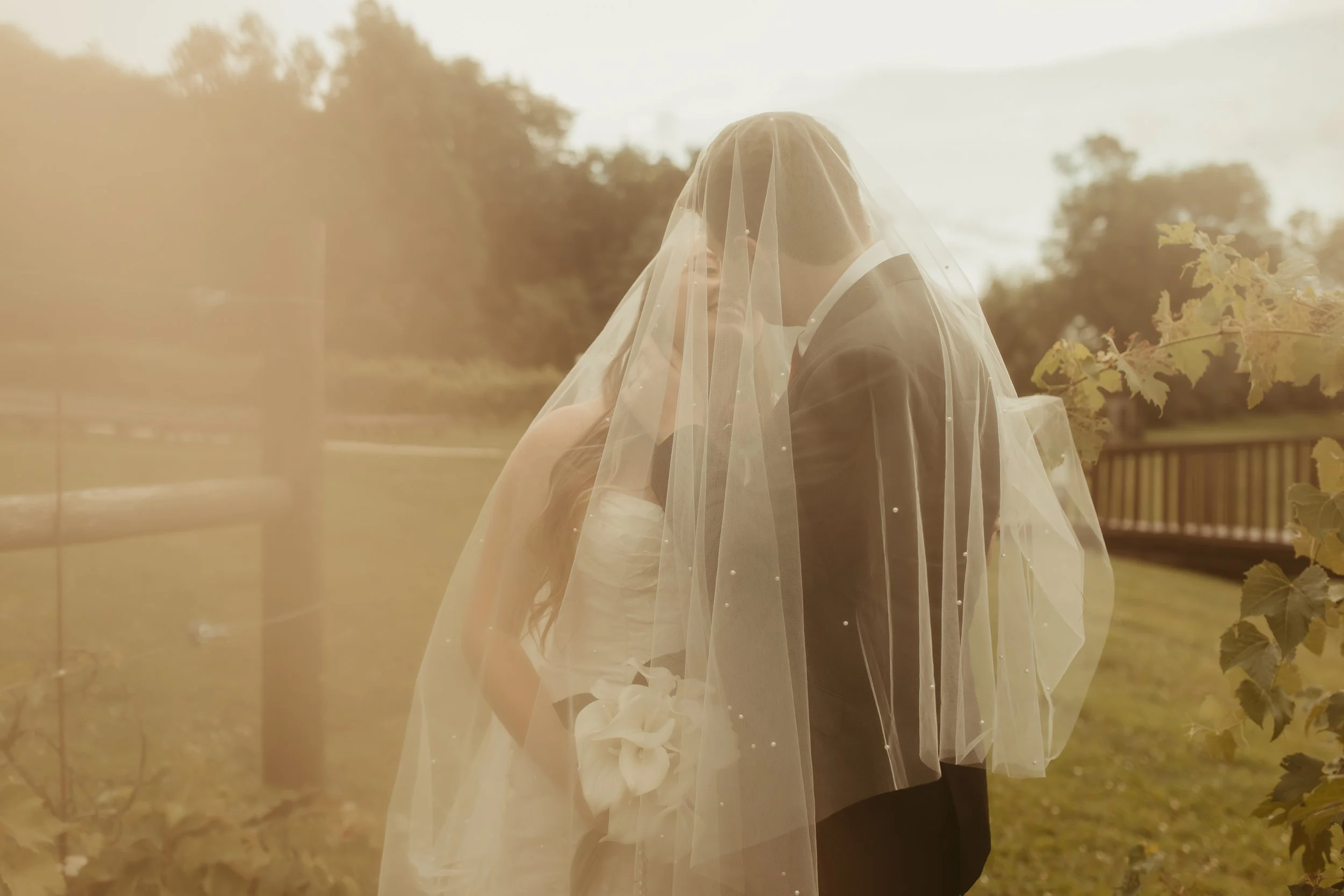 A bride and groom kissing outdoors under a bridal veil, with trees and a wooden fence in the background during daytime.