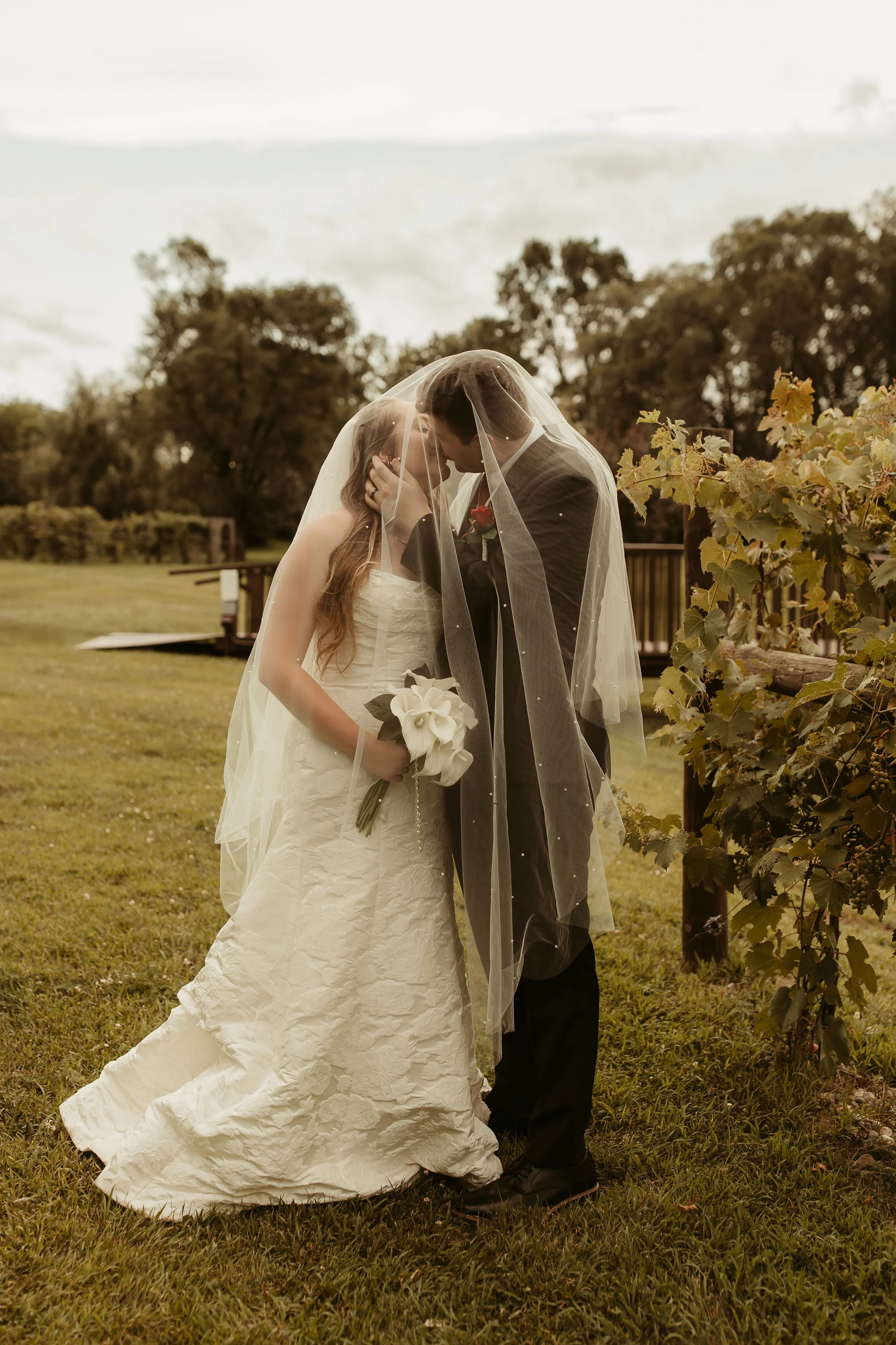 A bride and groom sharing a kiss underneath a wedding veil outdoors, with greenery and trees in the background.