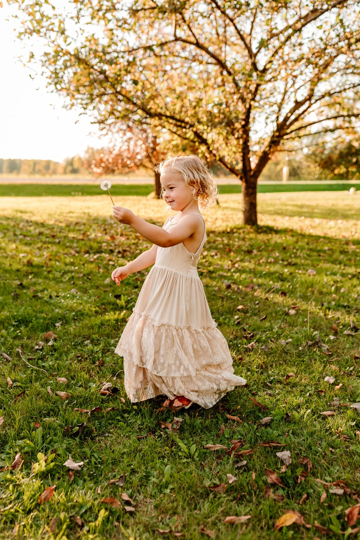 A young girl with blonde curly hair wearing a beige dress with lace details is standing on green grass in a park. She is holding a dandelion and appears to be enjoying a sunny autumn day with a large tree with colorful leaves in the background.