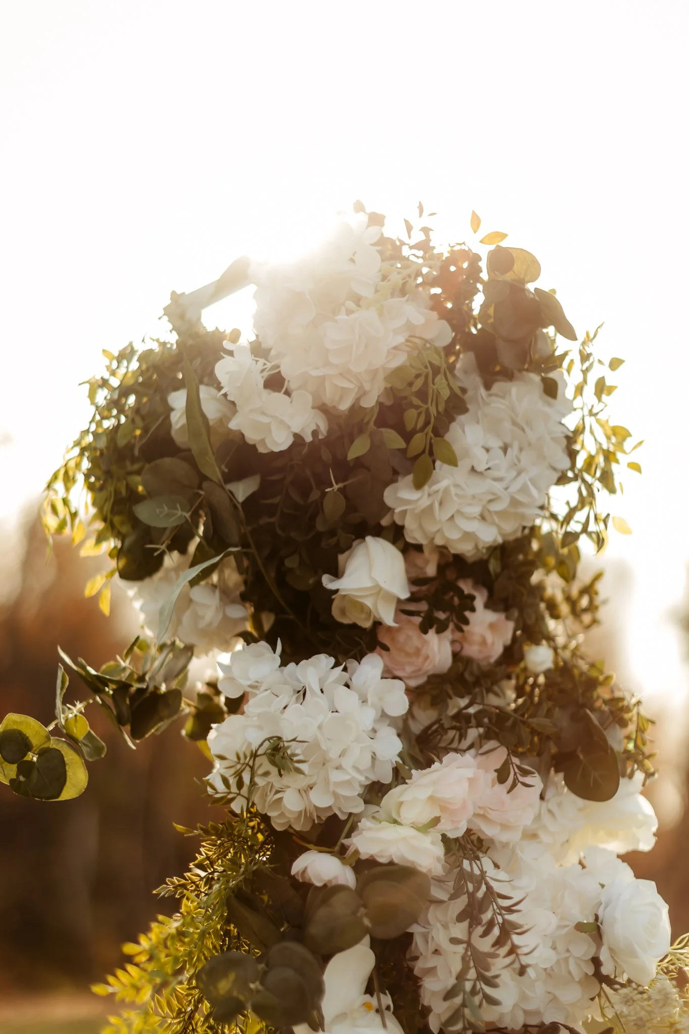 Bouquet of white and pale pink flowers with green foliage, backlit by the sun.