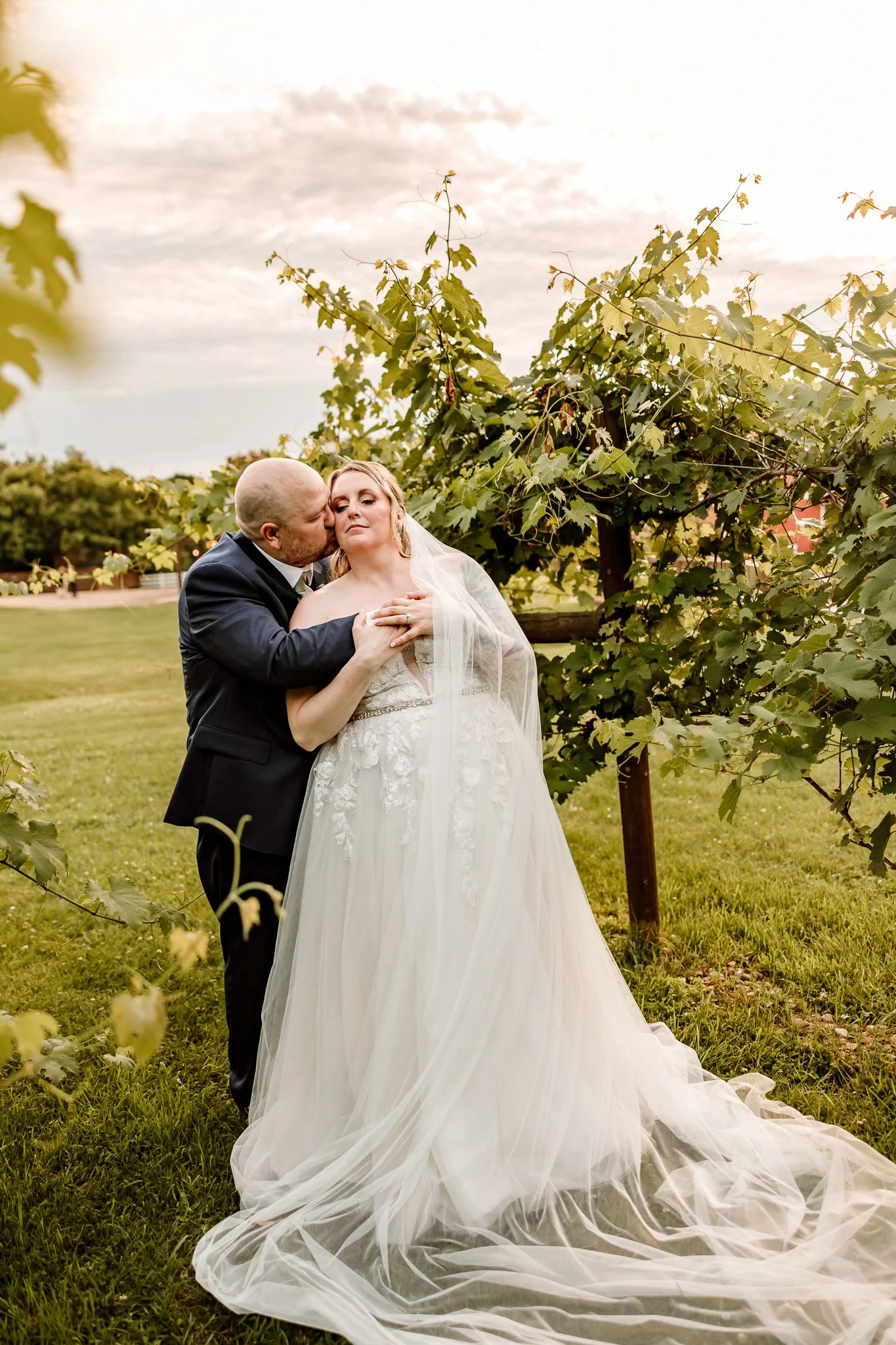 A bride and groom embrace outdoors near grapevines during a wedding photo session.