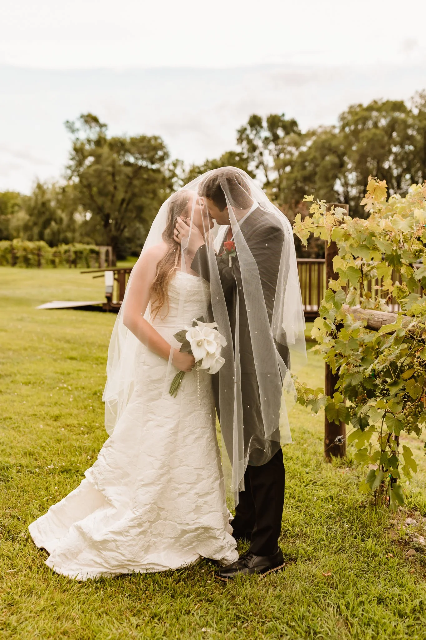 A bride and groom kissing outdoors on a grassy area, with their faces covered by a wedding veil. The bride is holding a white bouquet, and the background features trees and grapevines.