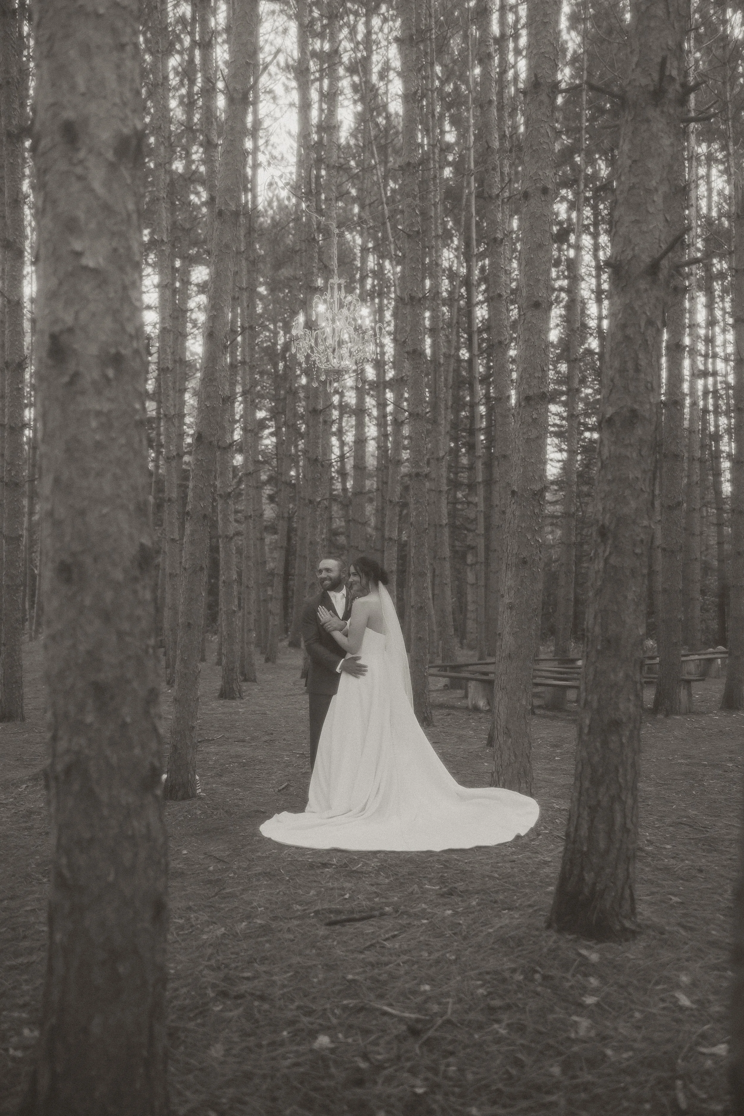 A bride in a wedding dress and groom in a suit standing in a forest with tall trees, with a chandelier hanging overhead.