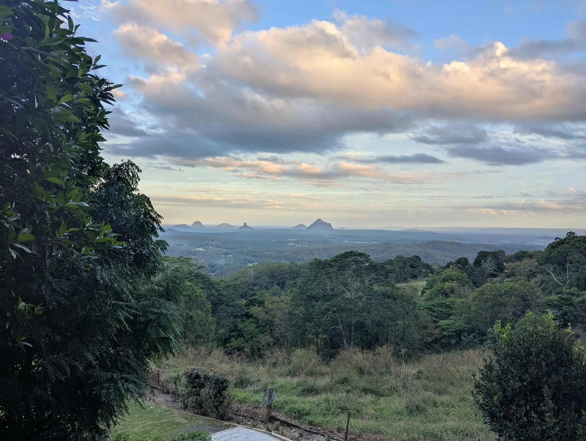 Sunshine Coast Hinterland provides scenic landscape views of green trees, grassy fields, and the Glashouse Mountains.