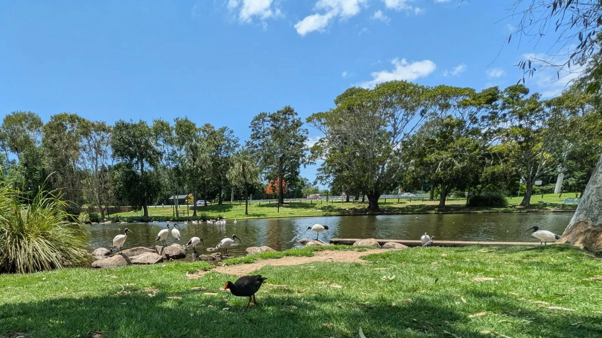 Caboolture, Morayfield, Burpengary, Burpengary East. The sky is blue with some clouds and the grassy area is shaded in parts.