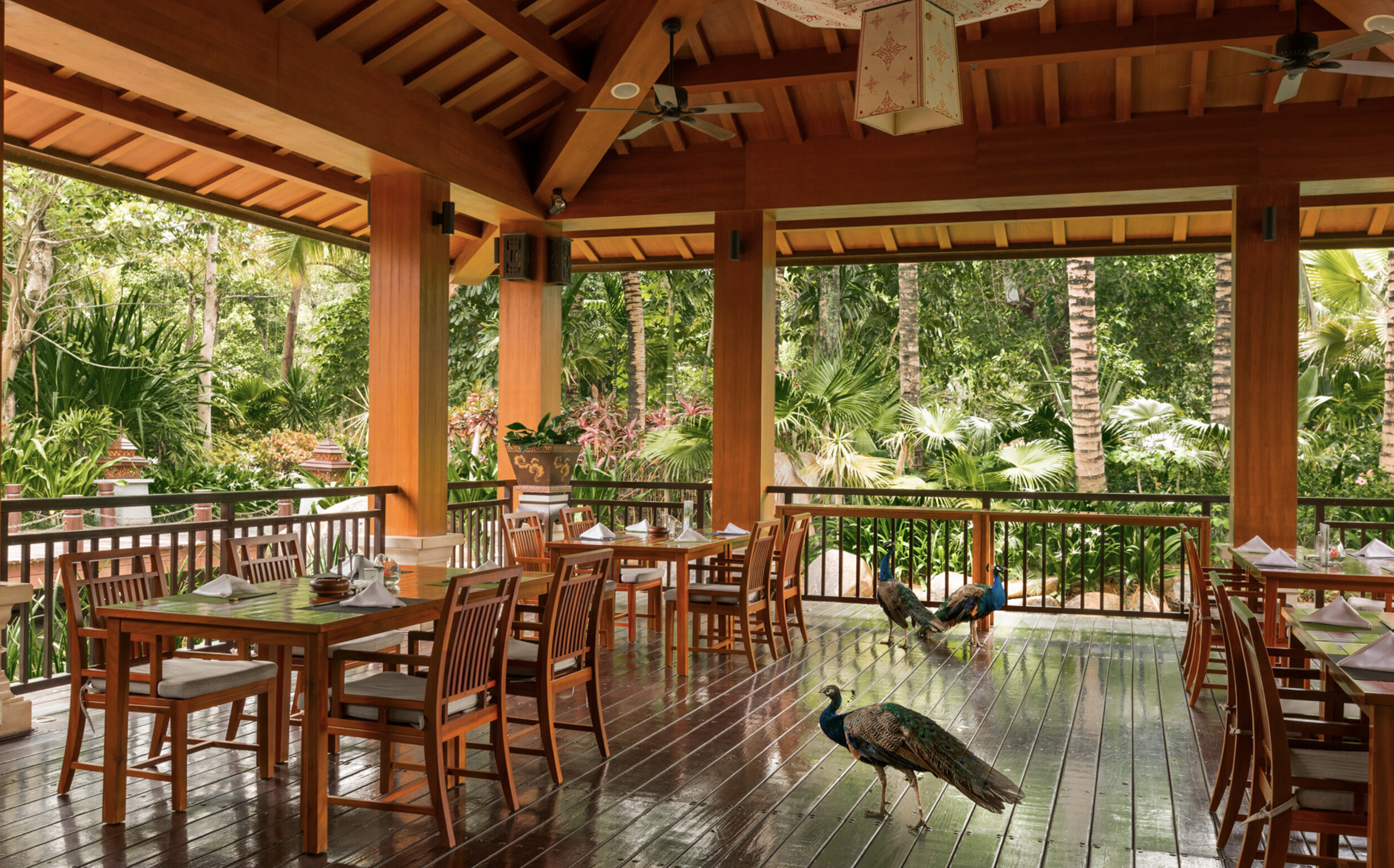 Breakfast_by_Nova_Production_Portland