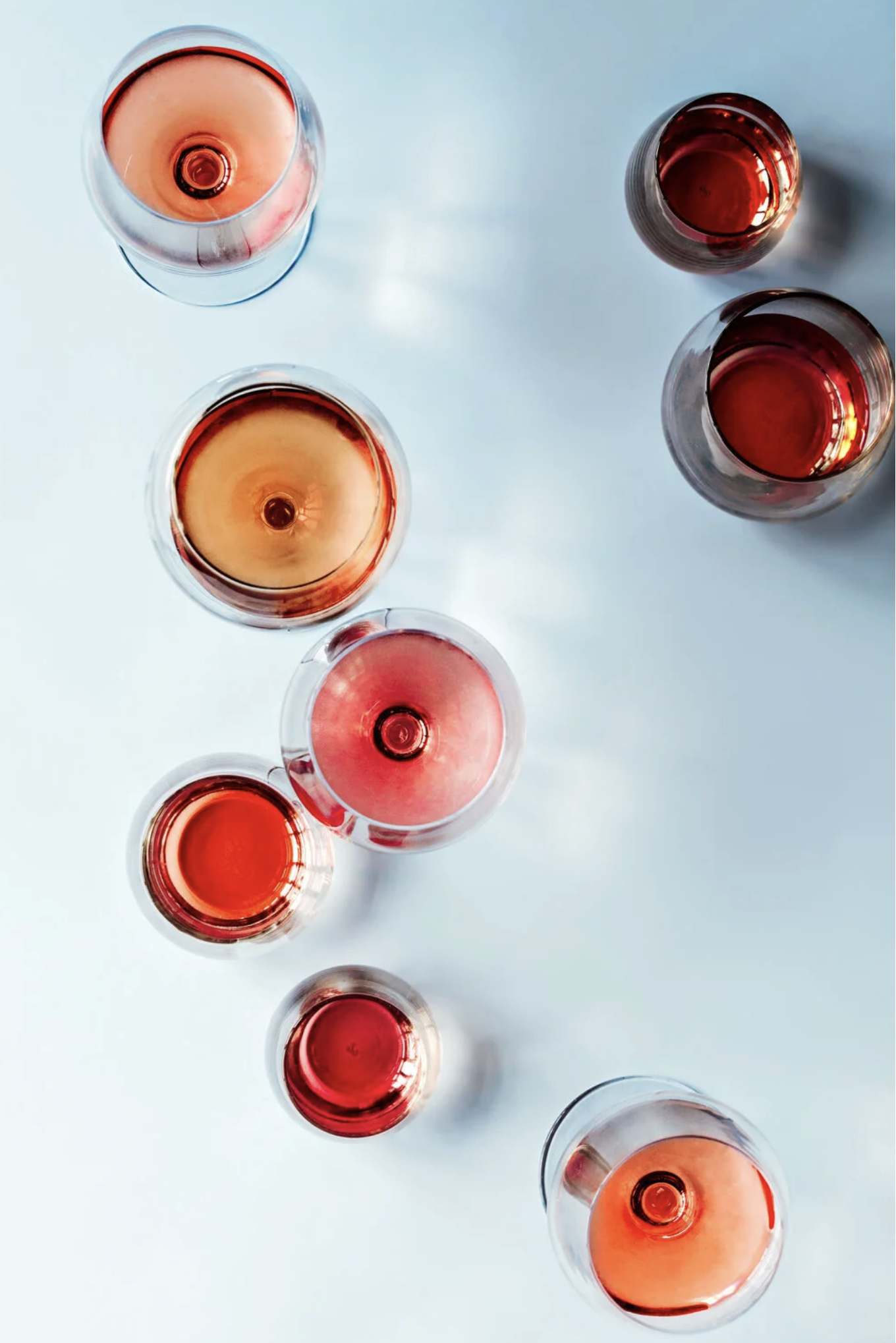 Rose_campain_by_Nova_Production_Portland