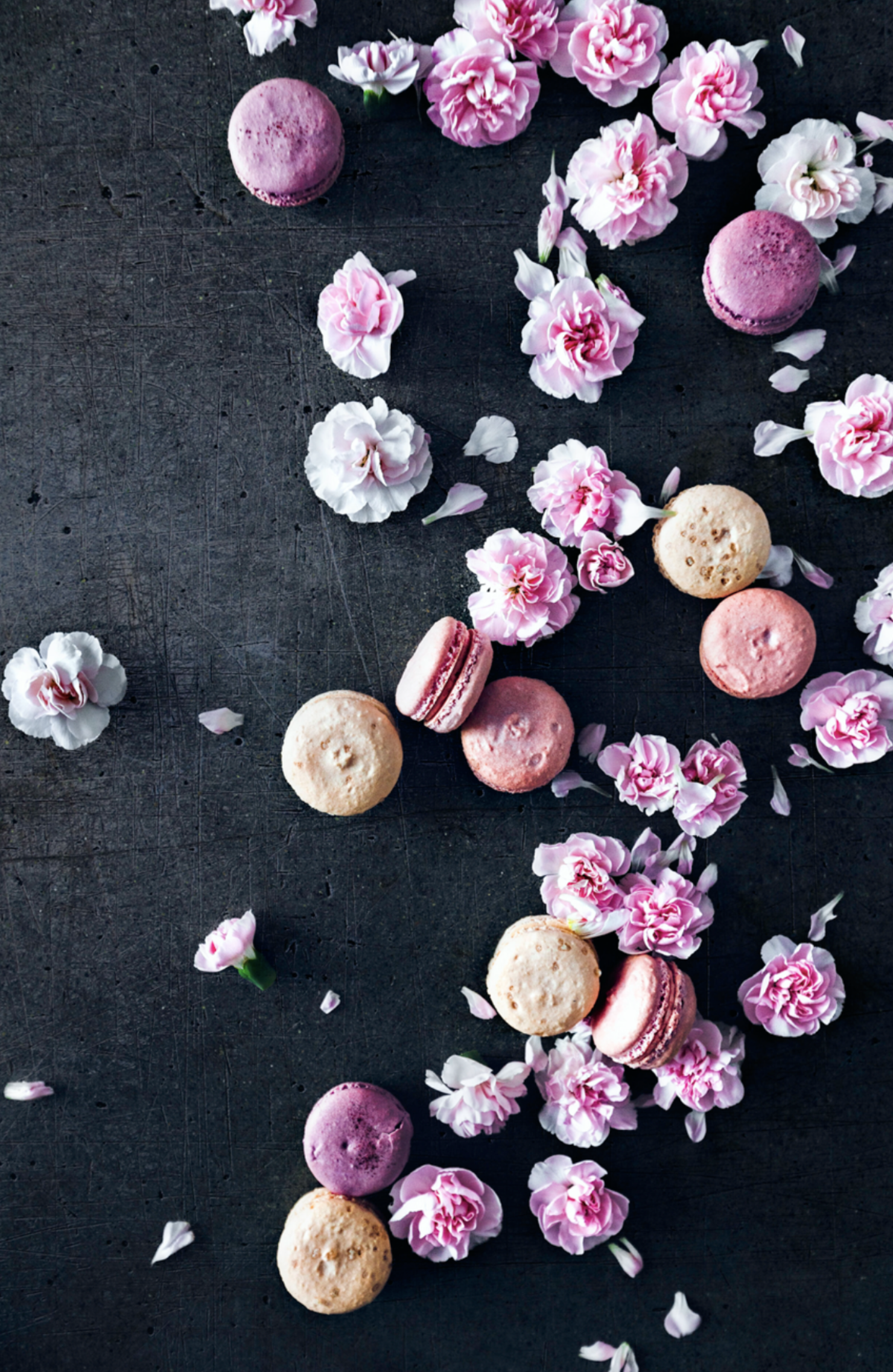 Sweets_by_Nova_Production_Portland