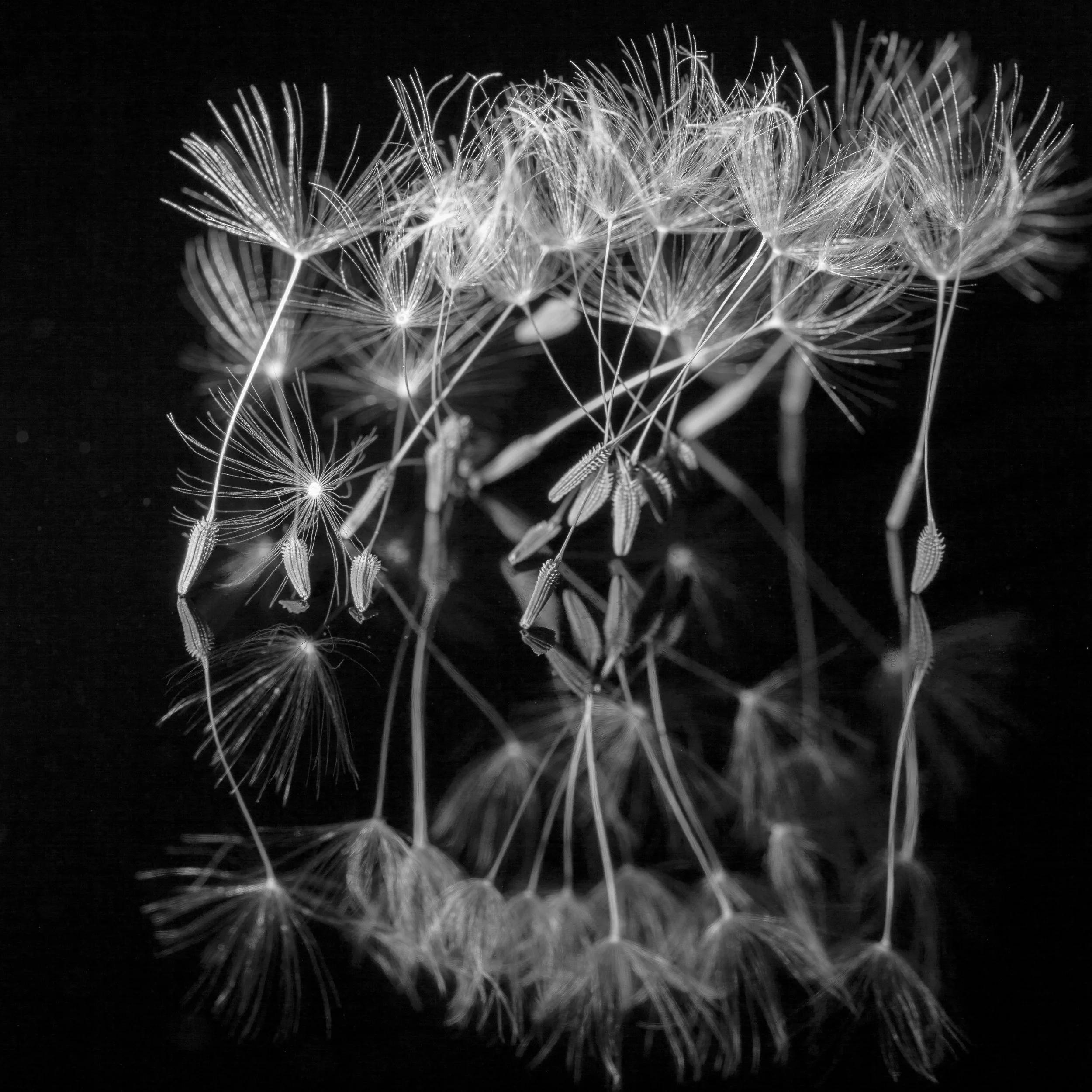 Brise Dessus-Dessous