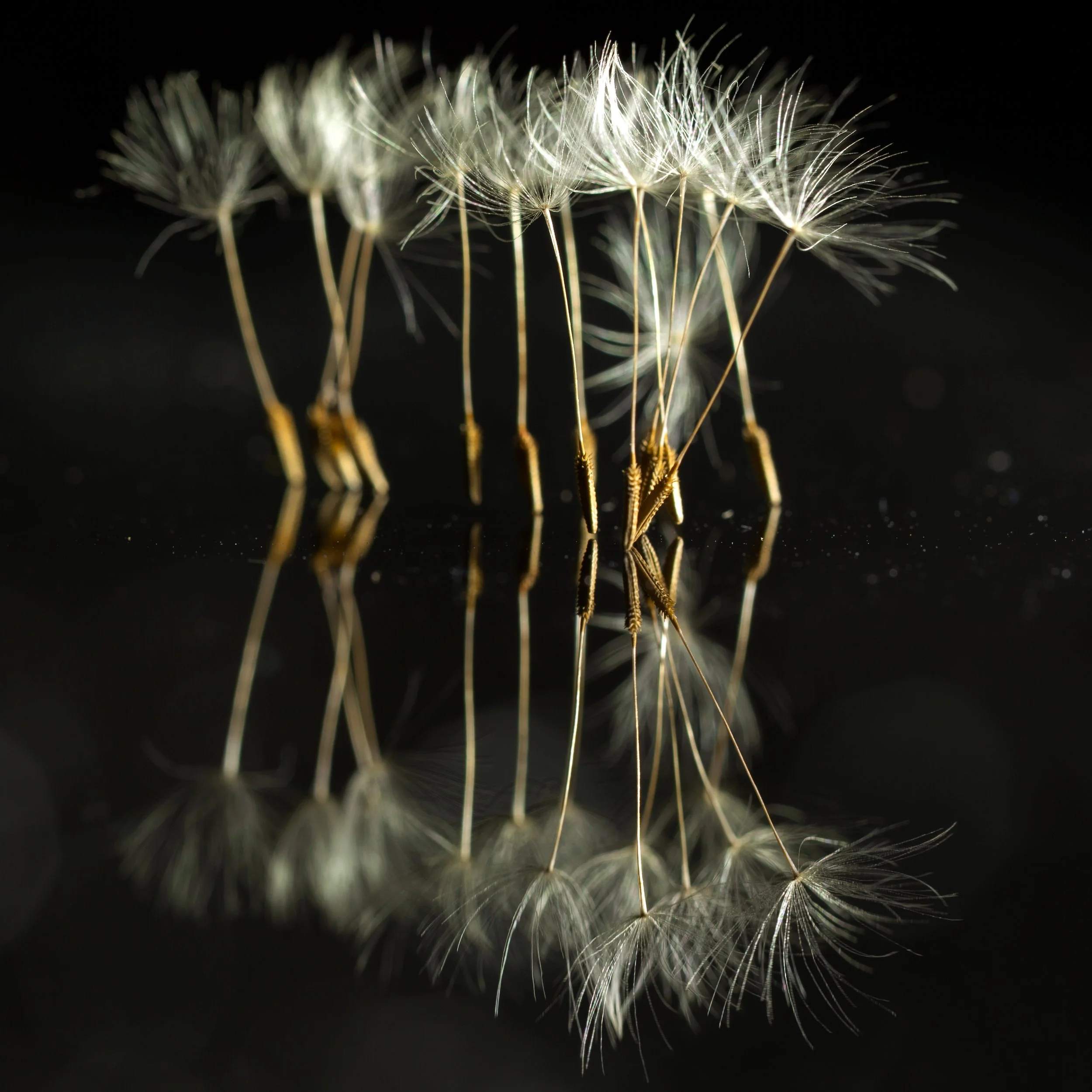 Étendre - To Stretch