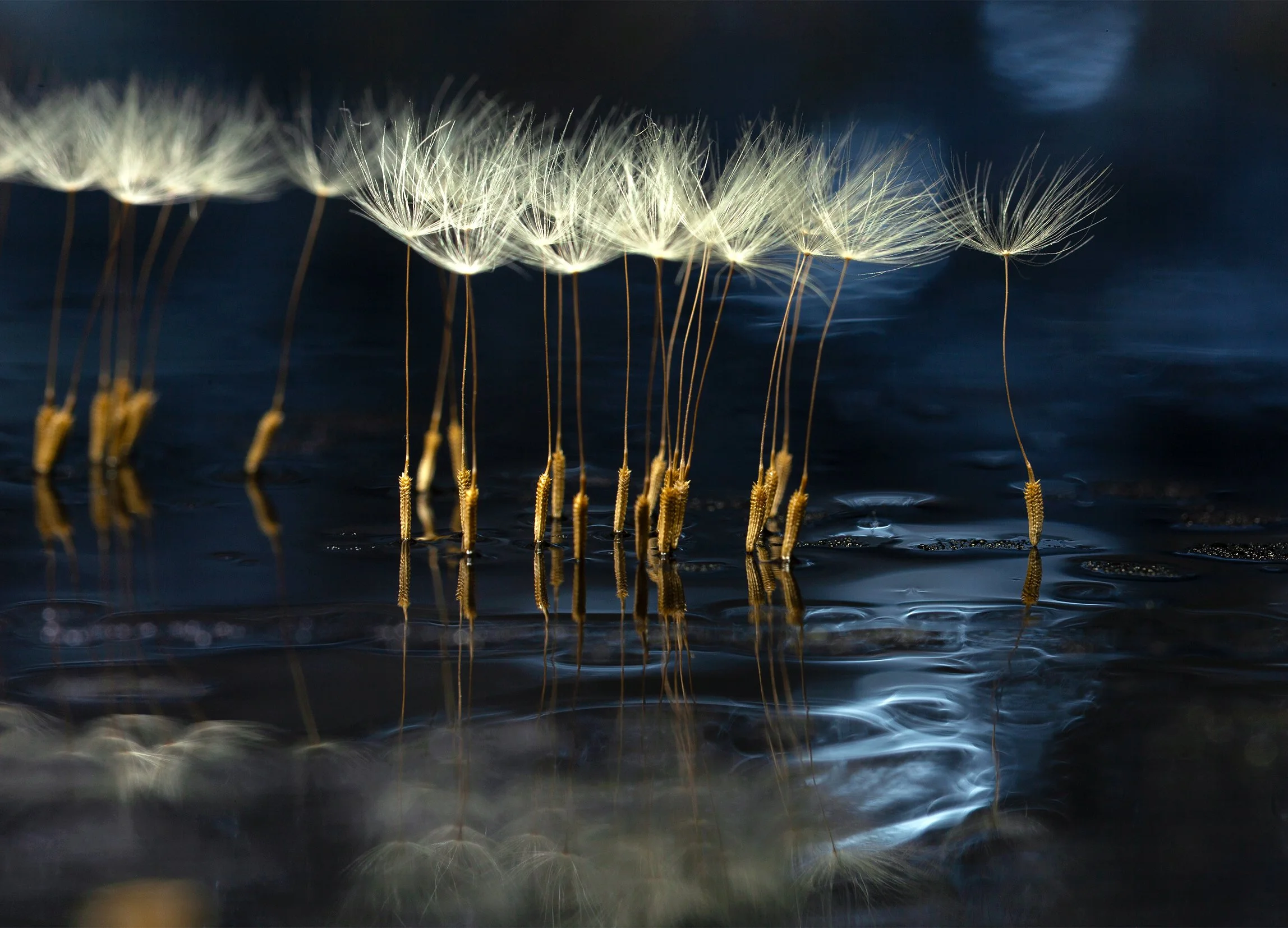 Glisser - Ballerinas Gliding Across the Stage