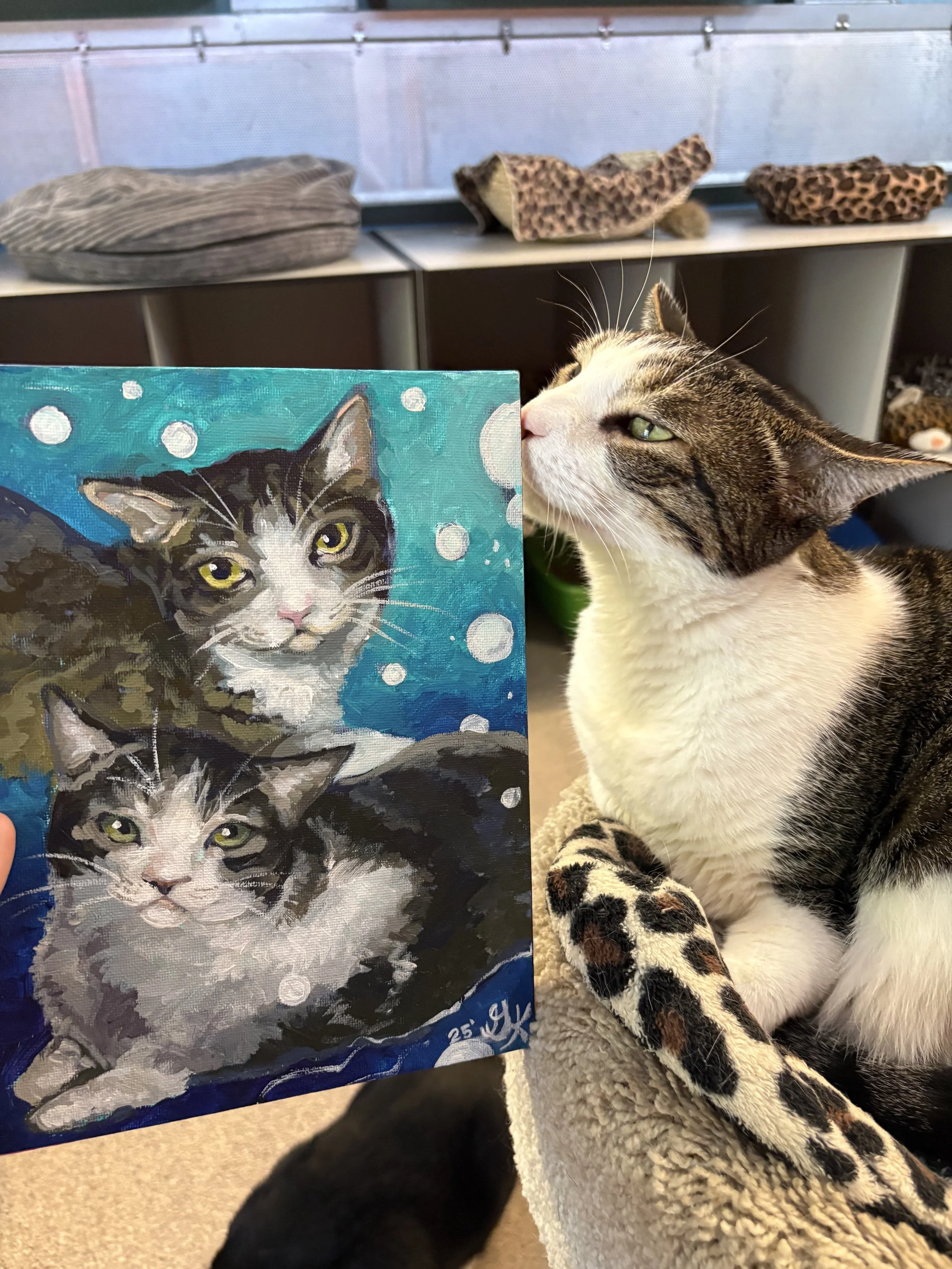 A realistic painting of two cats, one with a white face and grey tabby markings, and the other with a grey and white face, on a blue background with white bubbles, held in front of a real cat with a similar appearance sitting on a cozy beige surface.