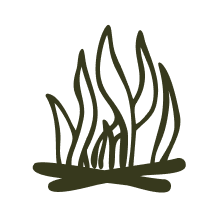 Icon of a campfire in dark green with beige background