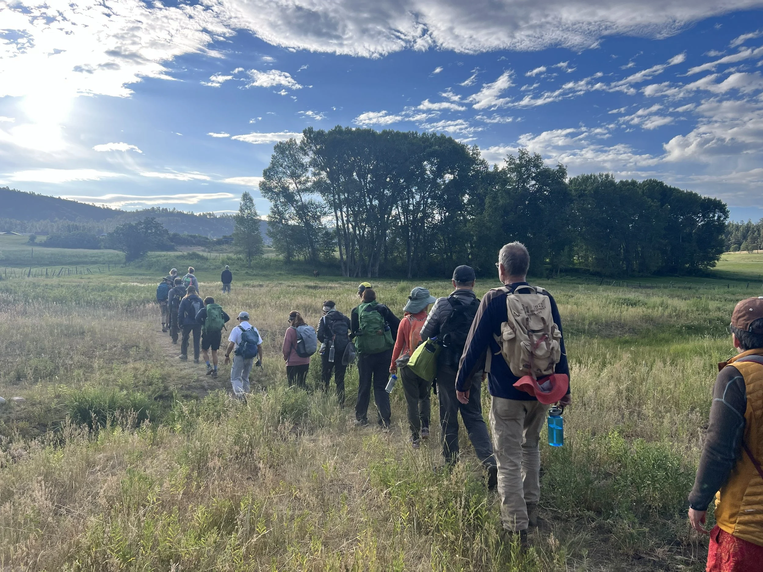 A group of hikers, with their backs to the camera, walking in a line on a trail through a grassy field with trees and hills in the background, under a partly cloudy sky.